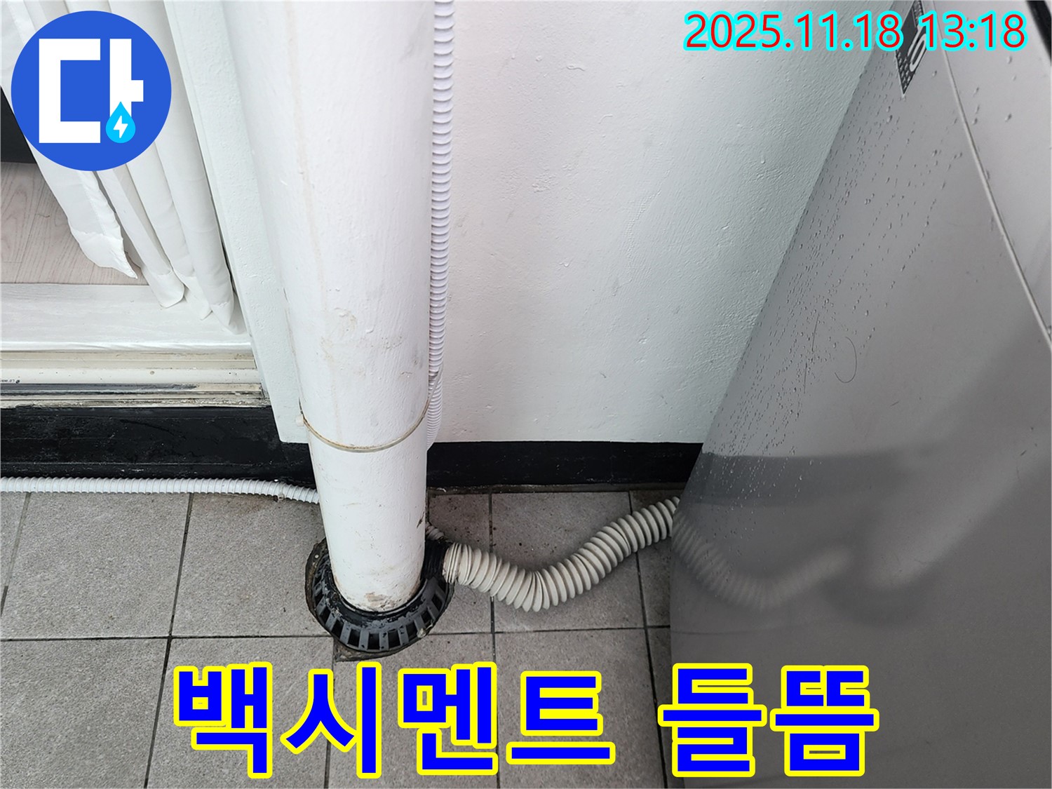 세탁기 배수구 주변 타일 틈새 - 백시멘트가 들떠 있습니다.