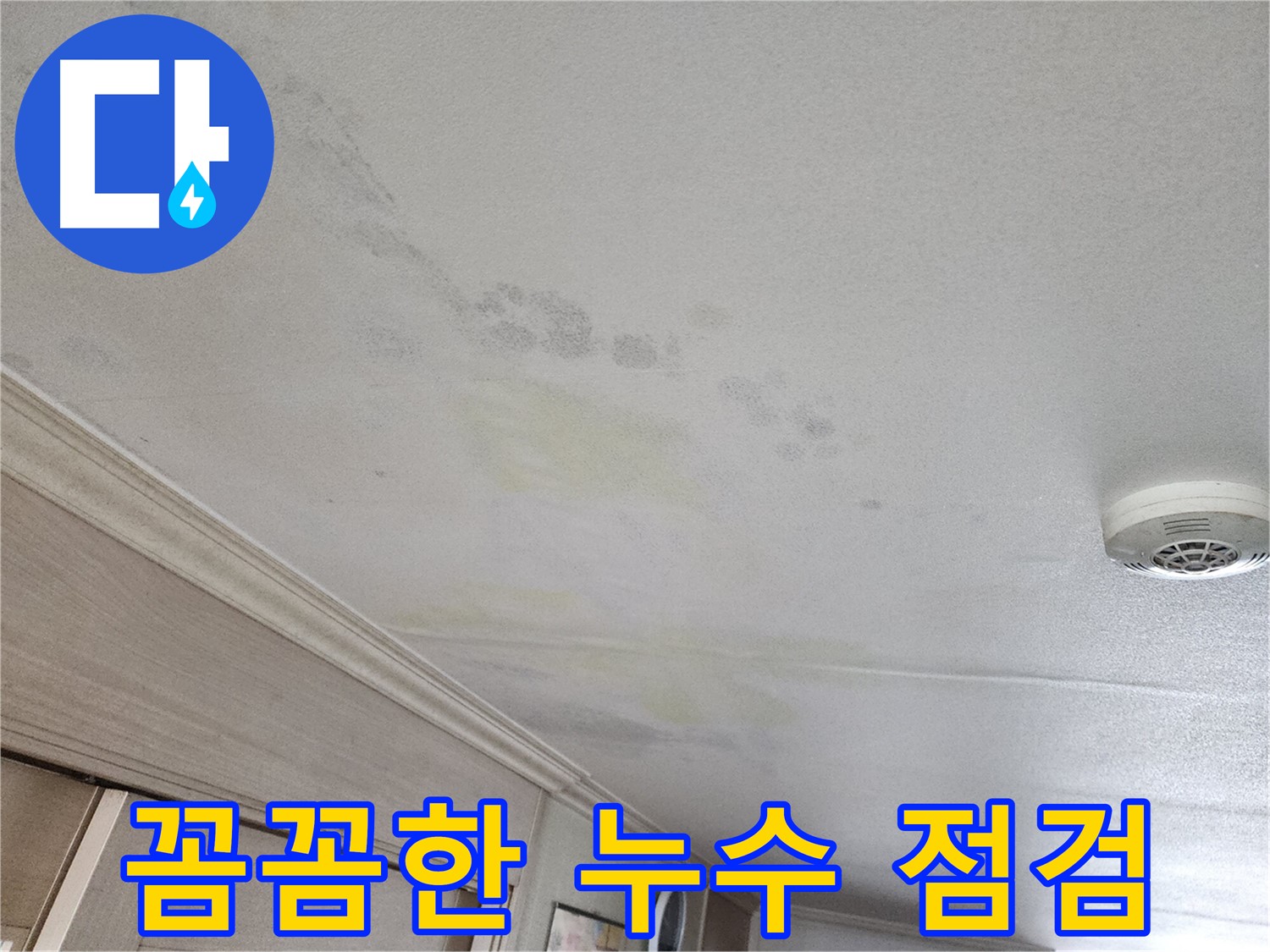 광명시 철산동 두산위브 103동 꼼꼼한 누수 점검 과정 - 세심한 진단