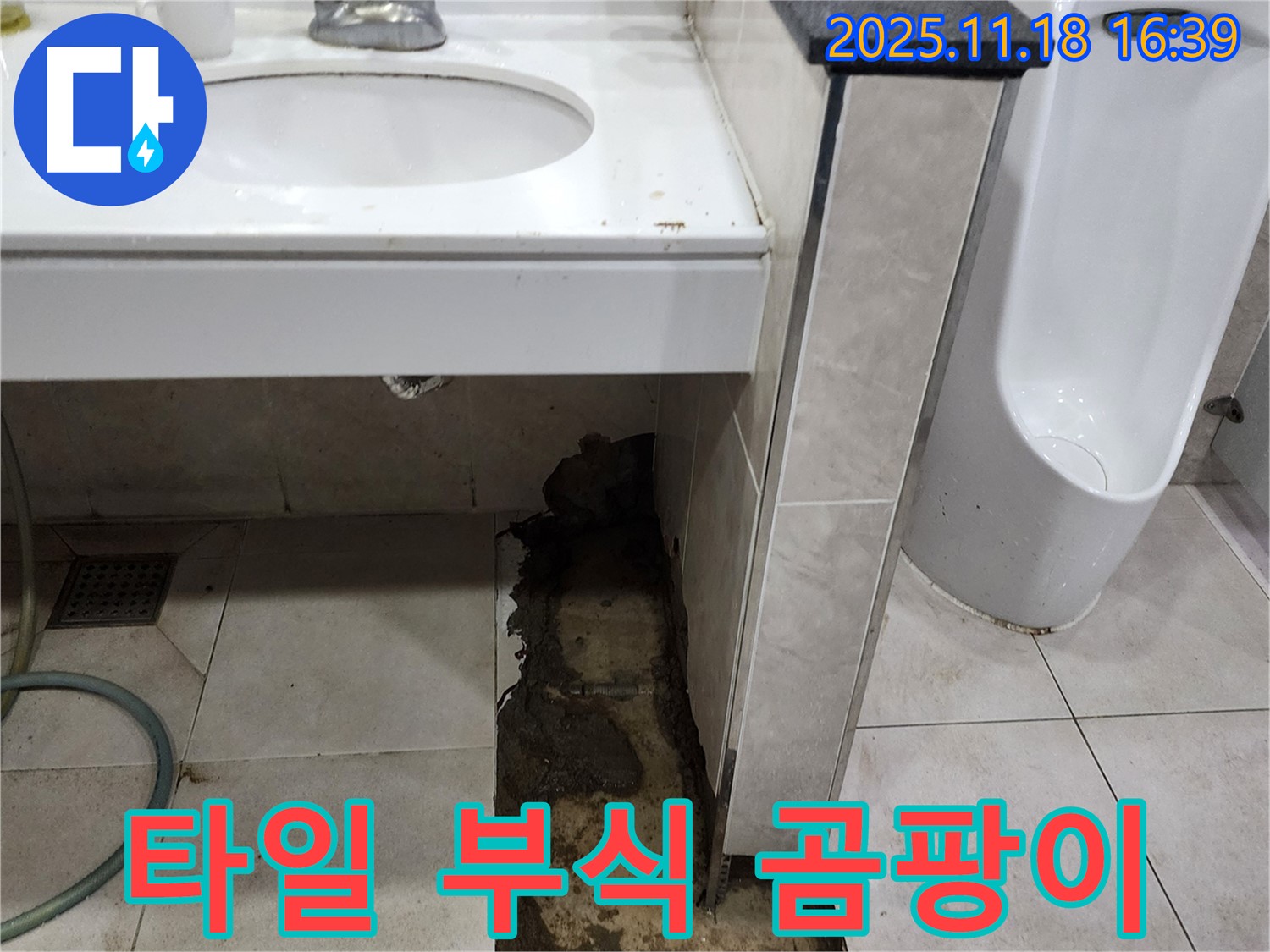 소학리 세면대 아래 타일 부식 - 곰팡이 냄새 심각
