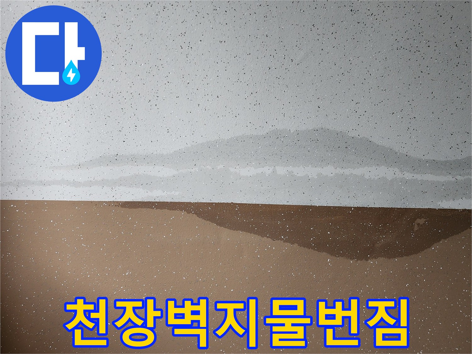 아래층-천장-벽면의-습기-및-변색-상태