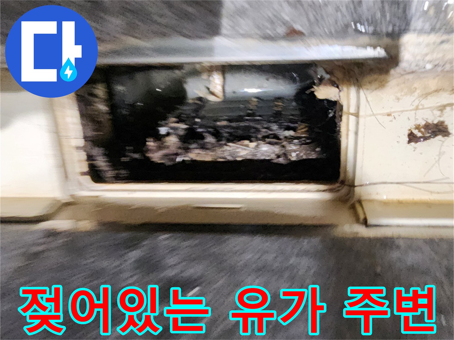 유가-주변의-오물과-습기-침투-현황