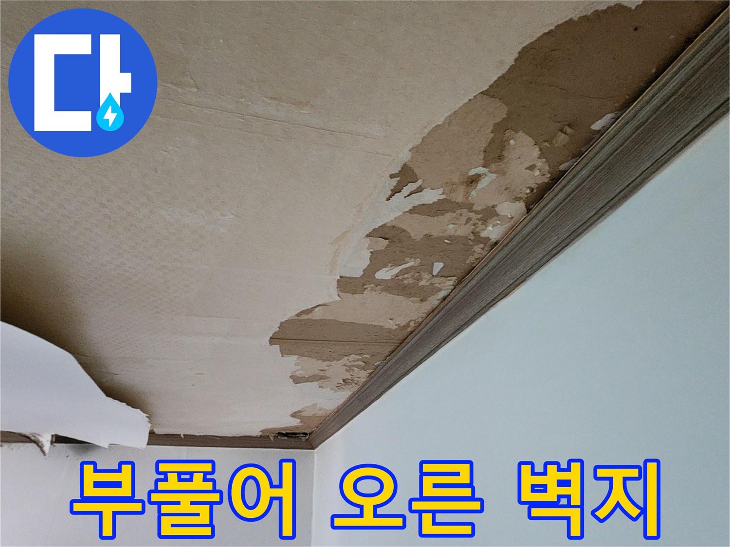누수 영향으로 인해 부풀어 올라 찢어진 천장 도배지