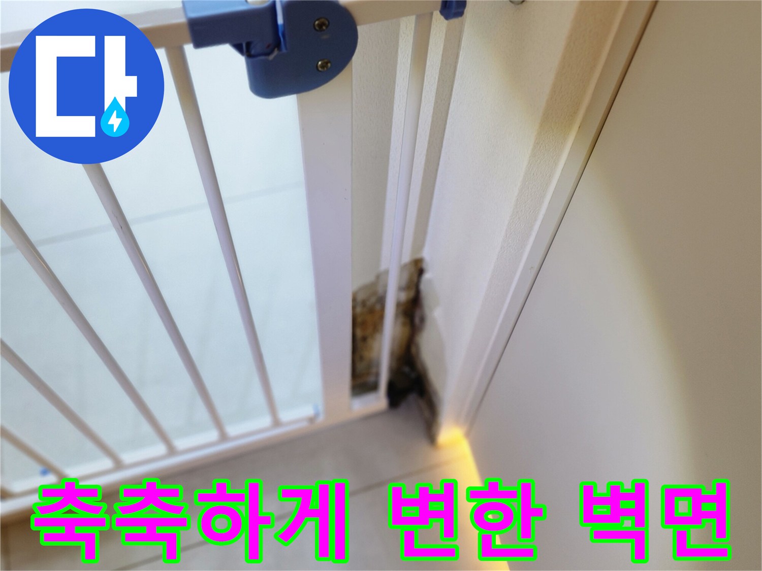 누수로 인해 습기가 머물러 곰팡이가 발생한 벽 하단