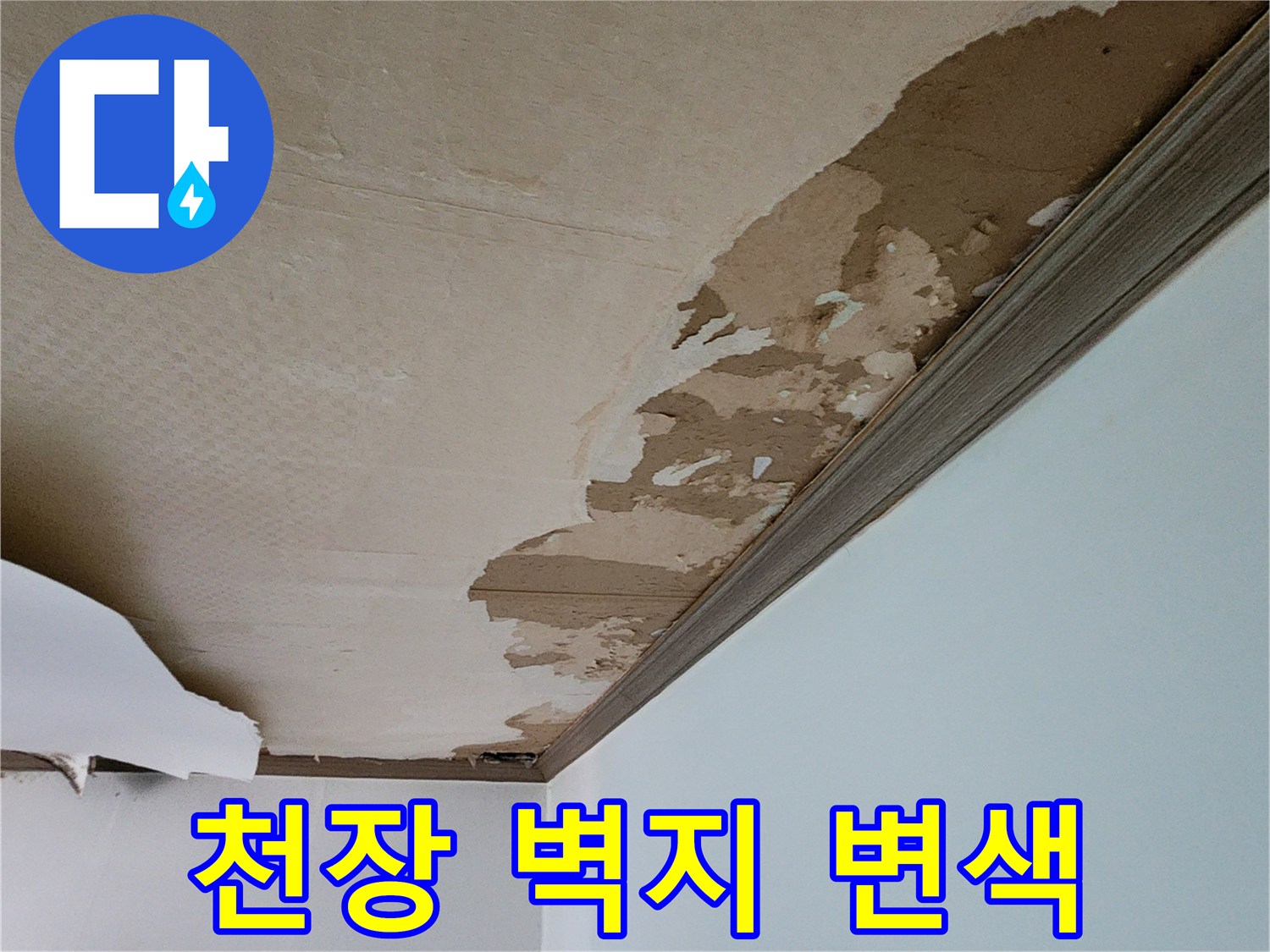 물샘으로-인한-천장-벽지의-갈색-변색