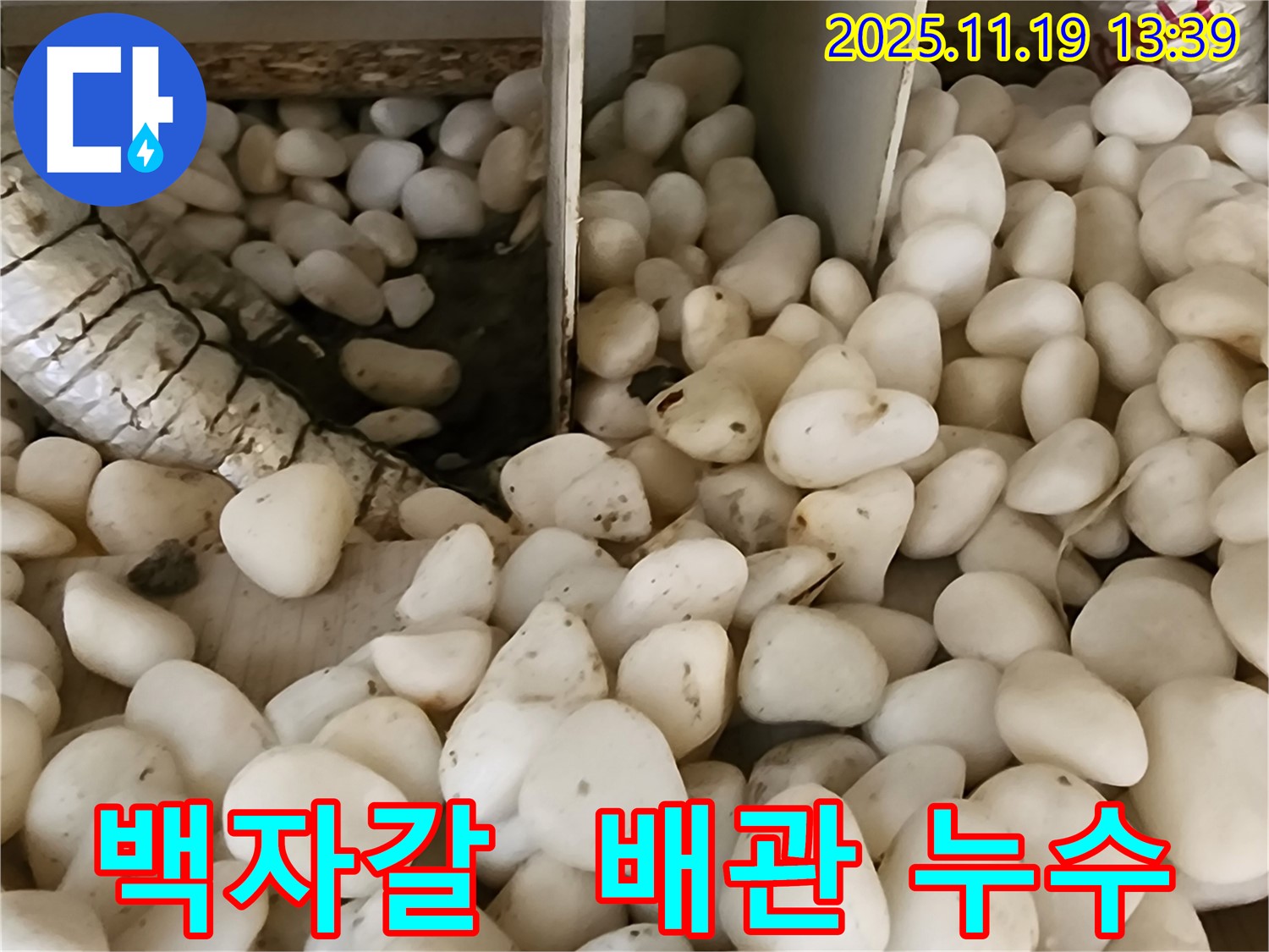 포천 내촌면 누수 - 백자갈 아래 숨겨진 배관 누수 지점 정밀 탐지