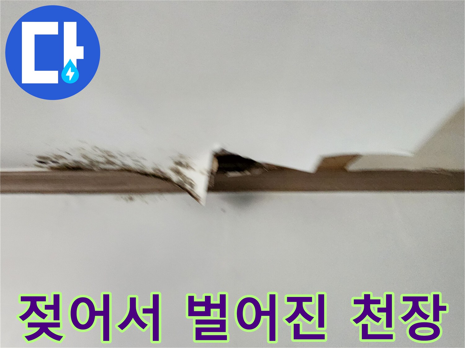 포천 내촌면 현장-물기에 젖어 변색된 천장 마감재 부위