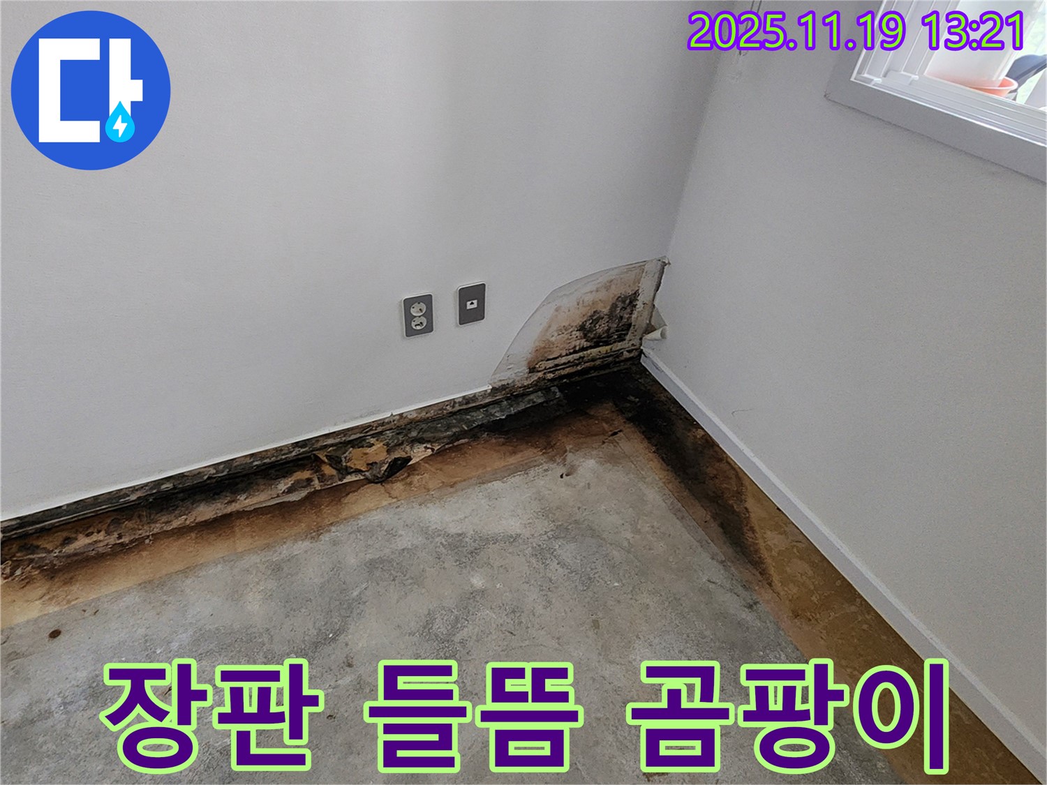 포천 누수 - 장판 들뜸과 곰팡이, 숨겨진 누수 의심