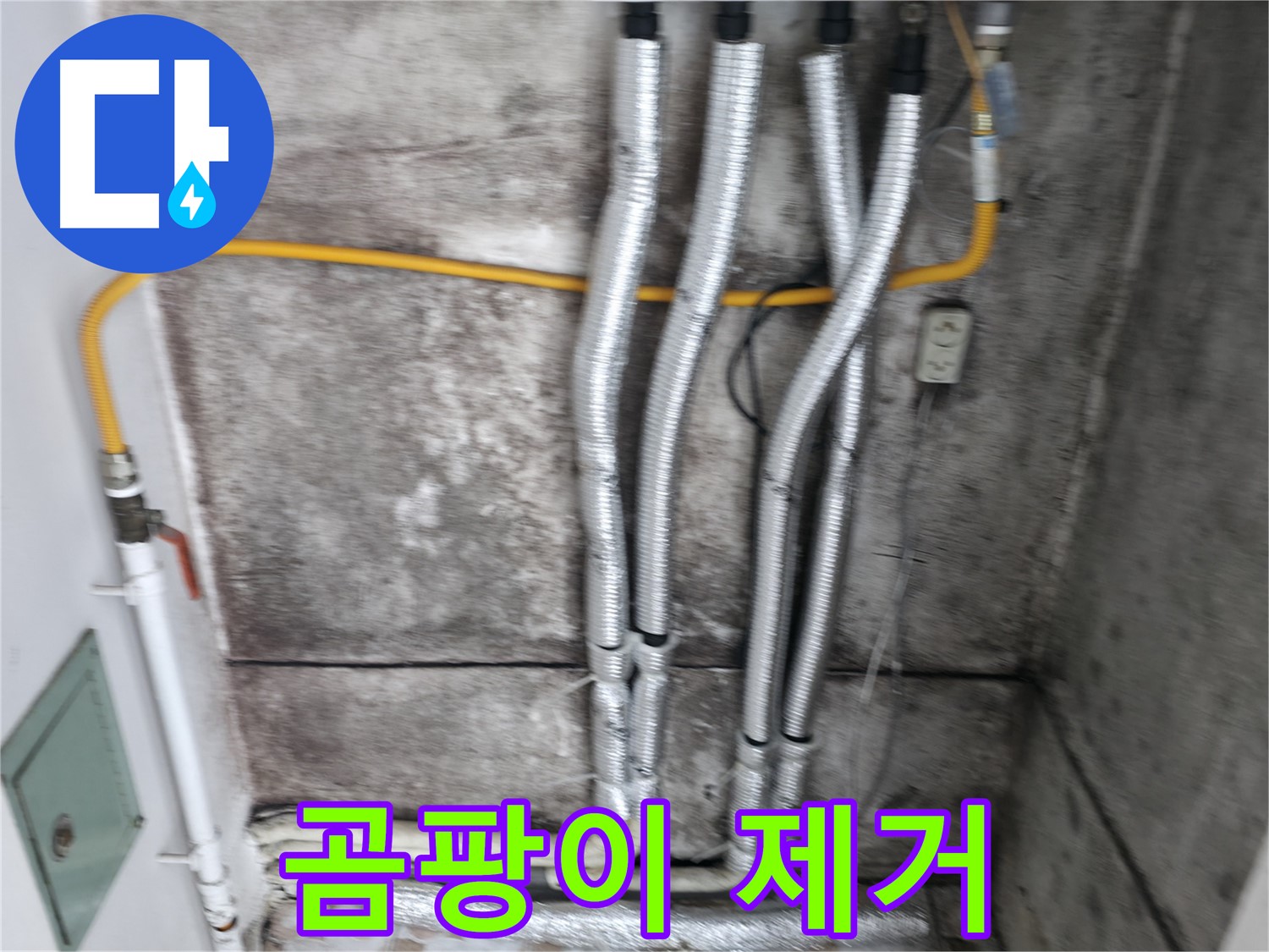 누수 해결 후 깨끗해진 벽 - 곰팡이 걱정 없이 쾌적한 공간으로 변신!