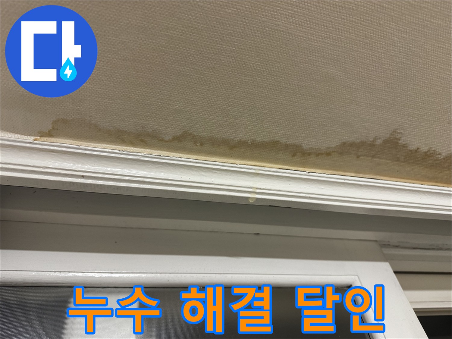 누수 해결 후 만족하는 고객의 모습 - 누수 해결 전문가로서의 자신감을 보여줍니다.