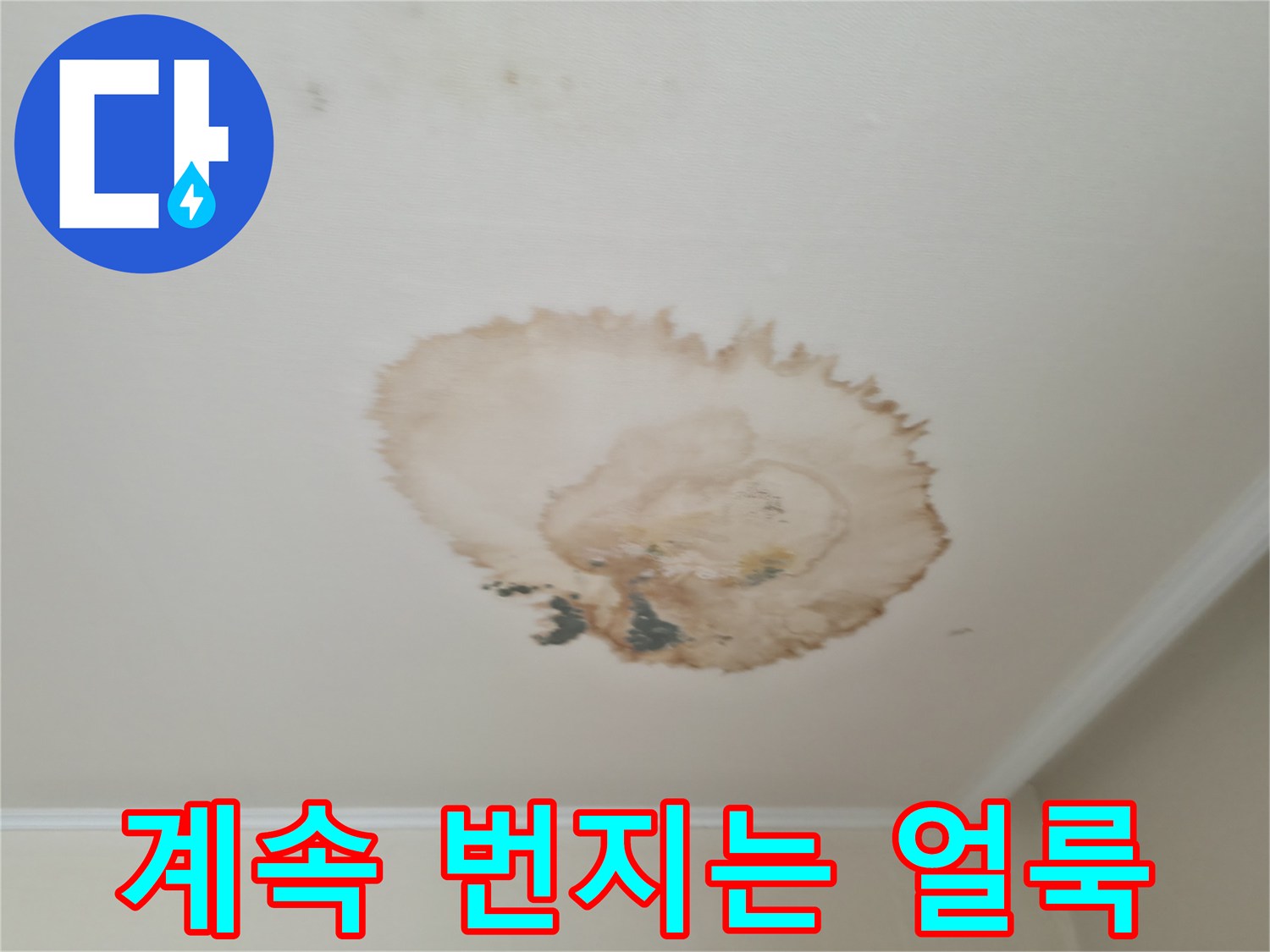 멈추지 않는 얼룩 - 서대문구 누수탐지 전문가 - 빠른 해결