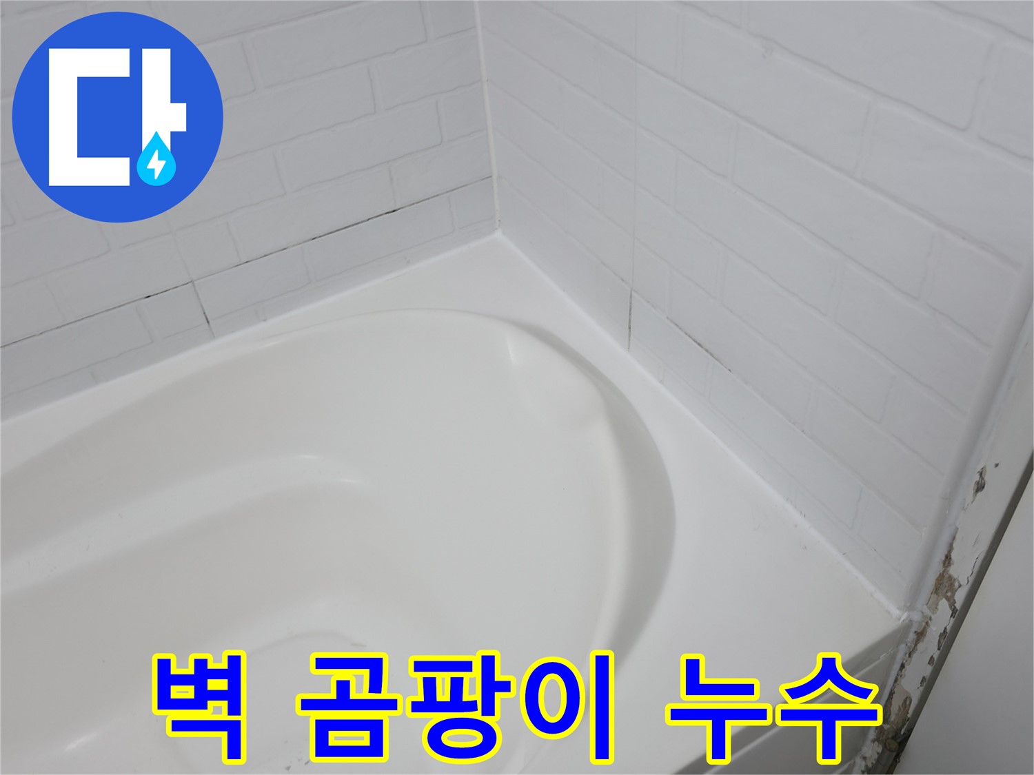 벽 곰팡이 - 누수의 증거