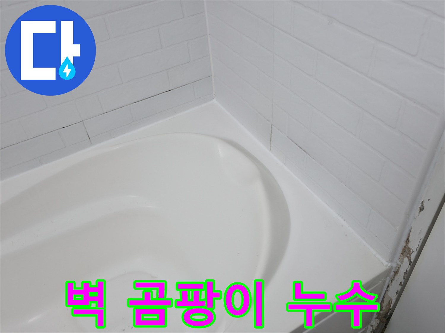 벽 곰팡이 - 누수의 증거
