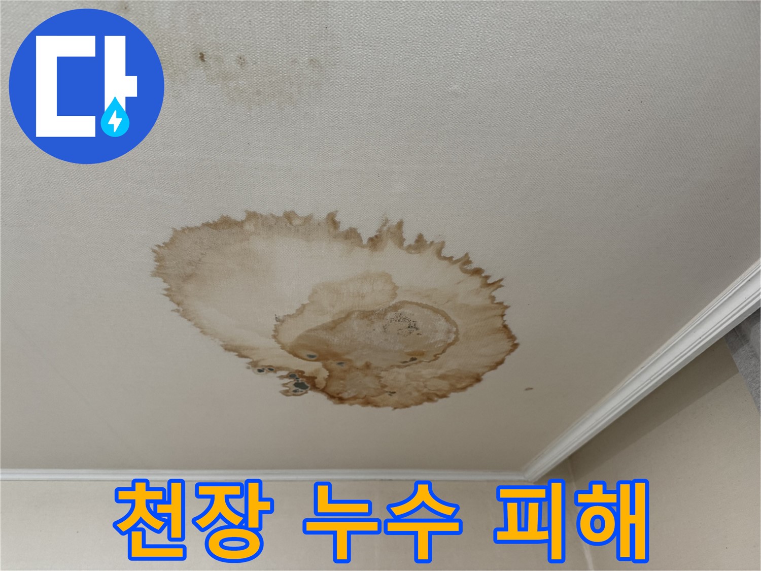 서대문구 세검정로 누수 - 물이 맺혀 떨어지는 천장