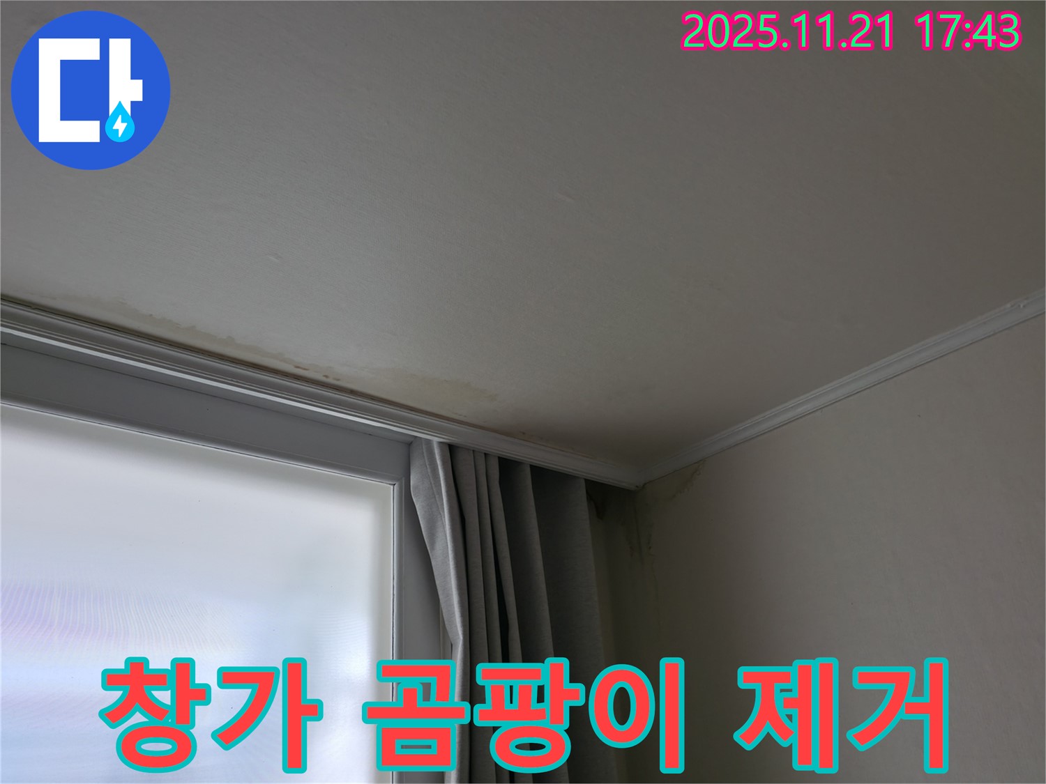 서대문구 창가 곰팡이 - 건강 위협 - 완벽 제거