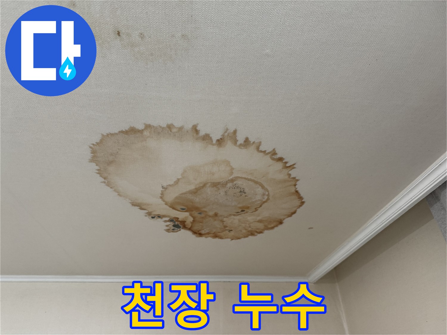 서대문구에서 발생한 천장 누수 - 천장에서 물이 뚝뚝 떨어지는 모습과 젖은 바닥을 보여주는 사진