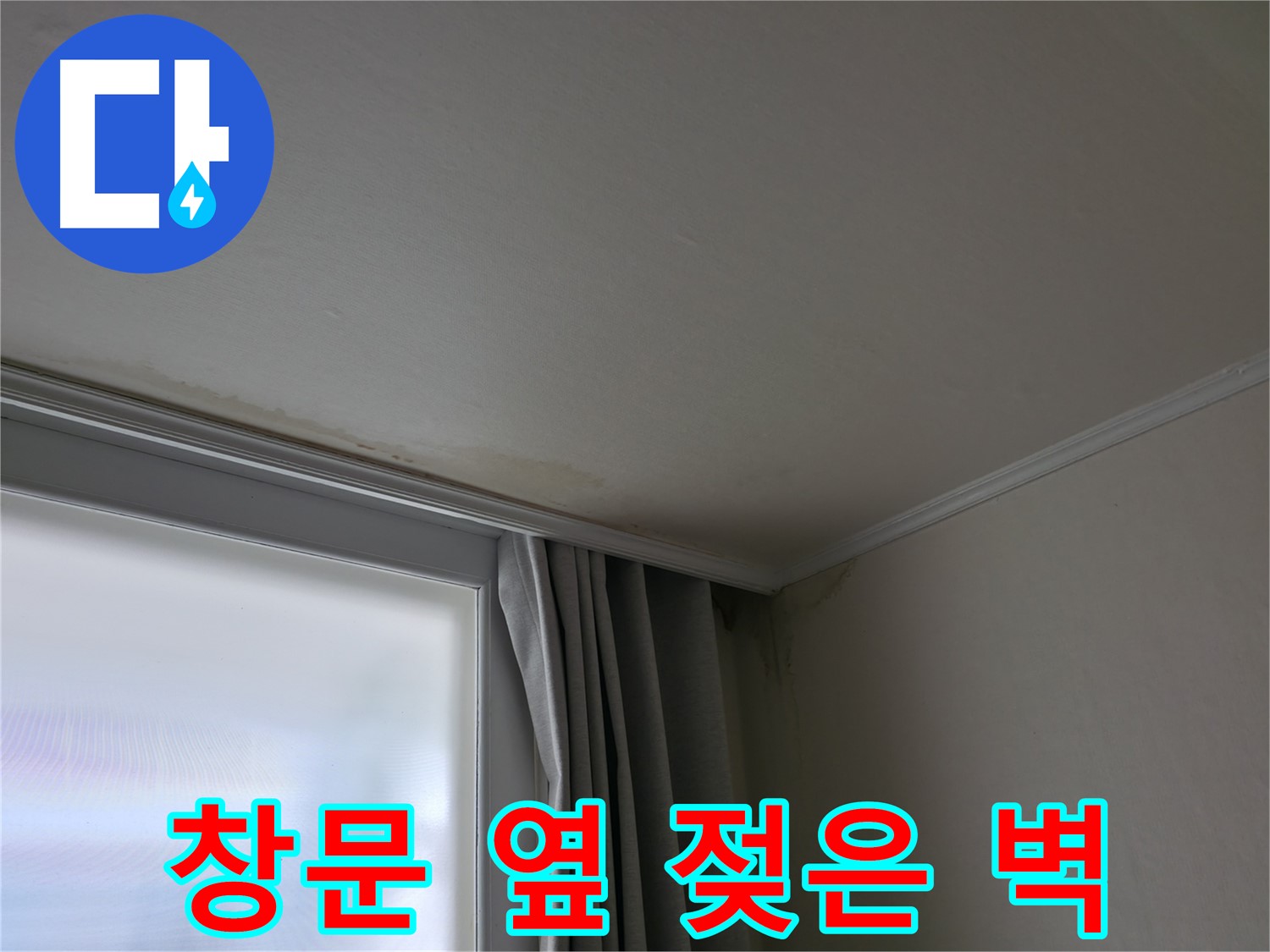 창문 옆 젖은 벽 - 곰팡이 발생 전 누수 진단