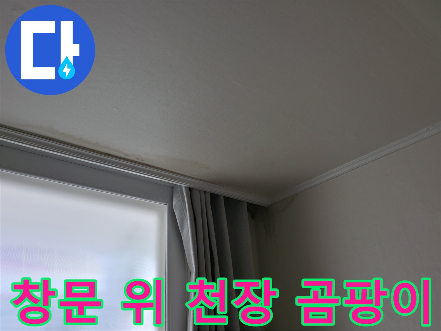 창문 위 천장 곰팡이 - 누수 해결 및 곰팡이 제거 전문