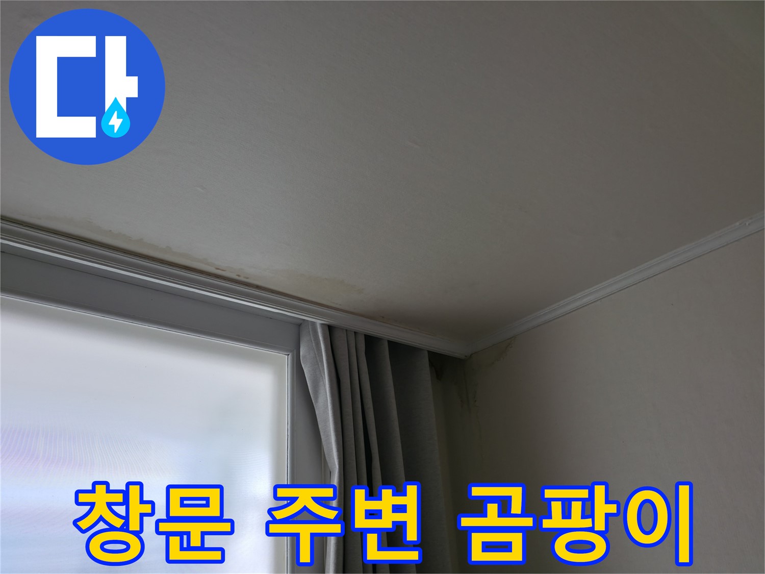 창문 주변 곰팡이 - 결로와 누수 복합 문제 해결