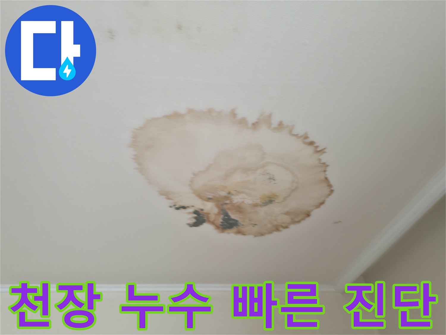 천장 누수 - 신속한 진단 - 정확한 원인 파악 및 해결