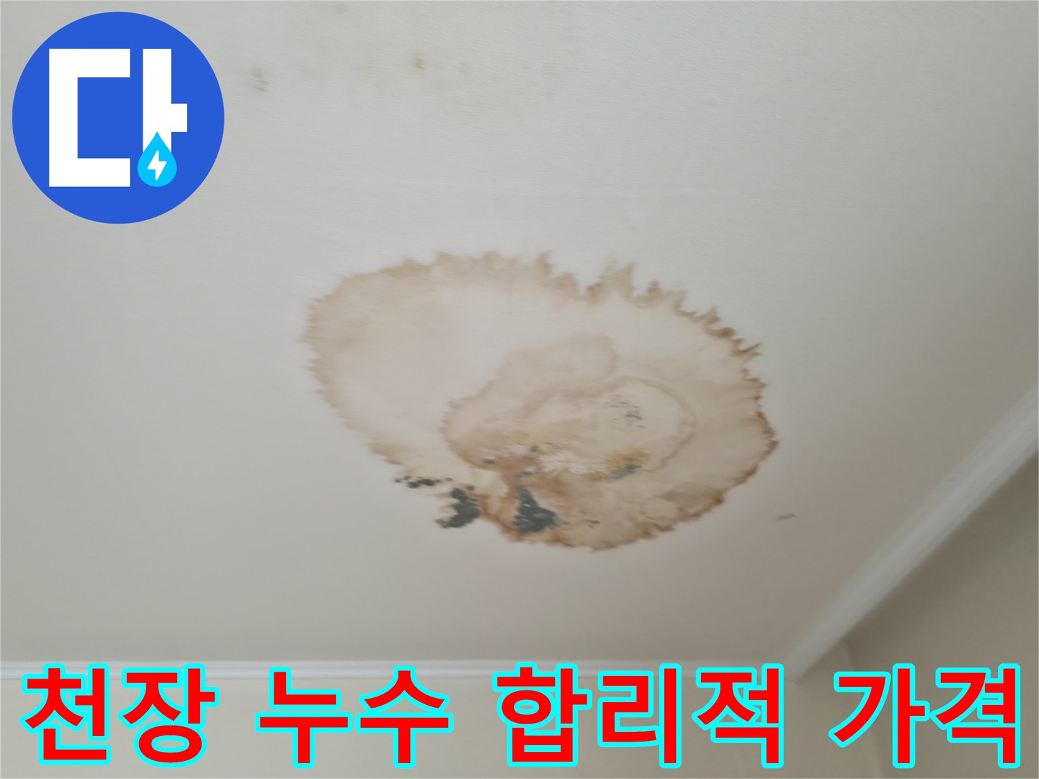 천장 누수 - 합리적인 가격 - 투명하고 정직한 견적