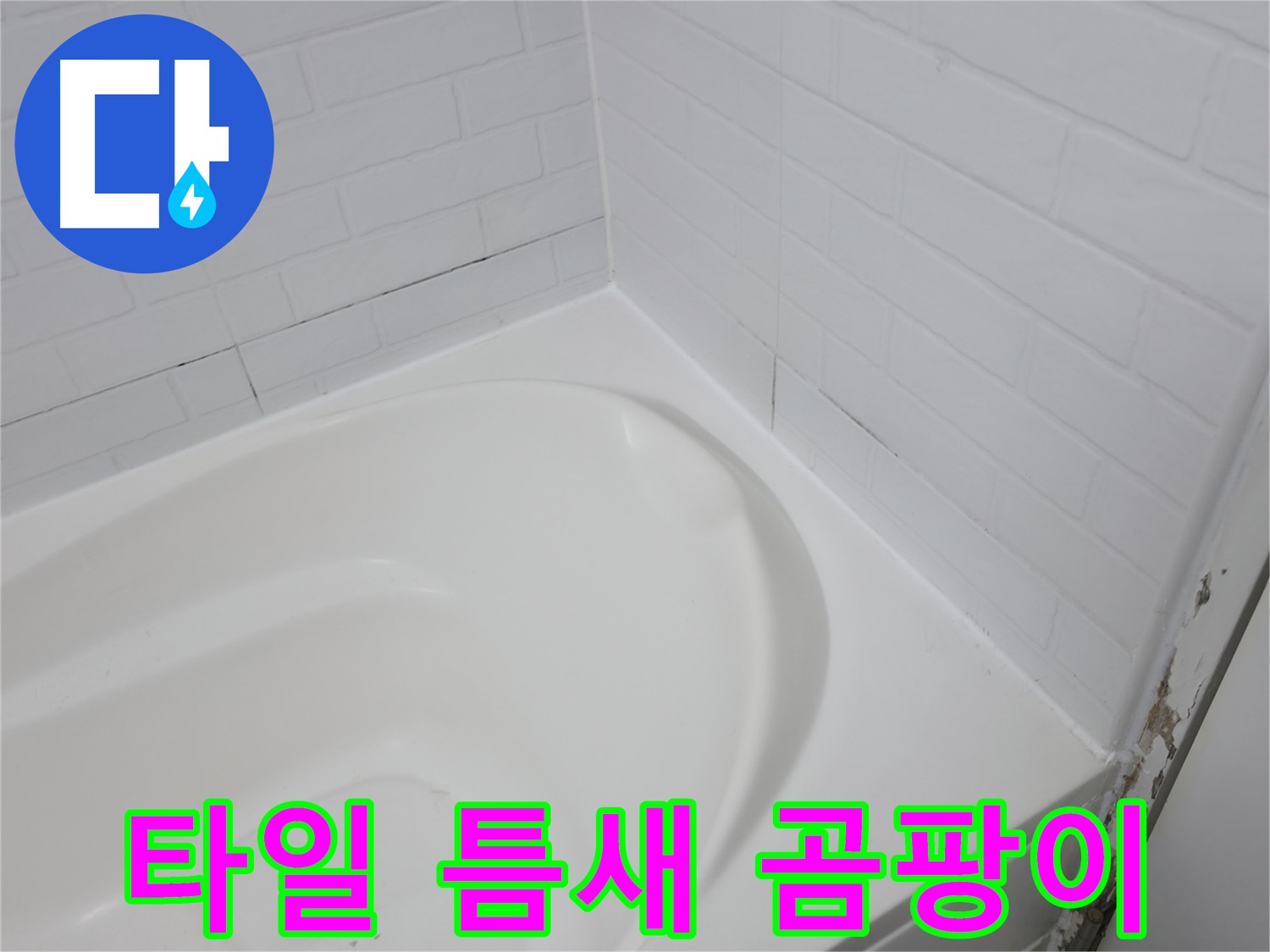 타일 틈새 - 곰팡이의 온상