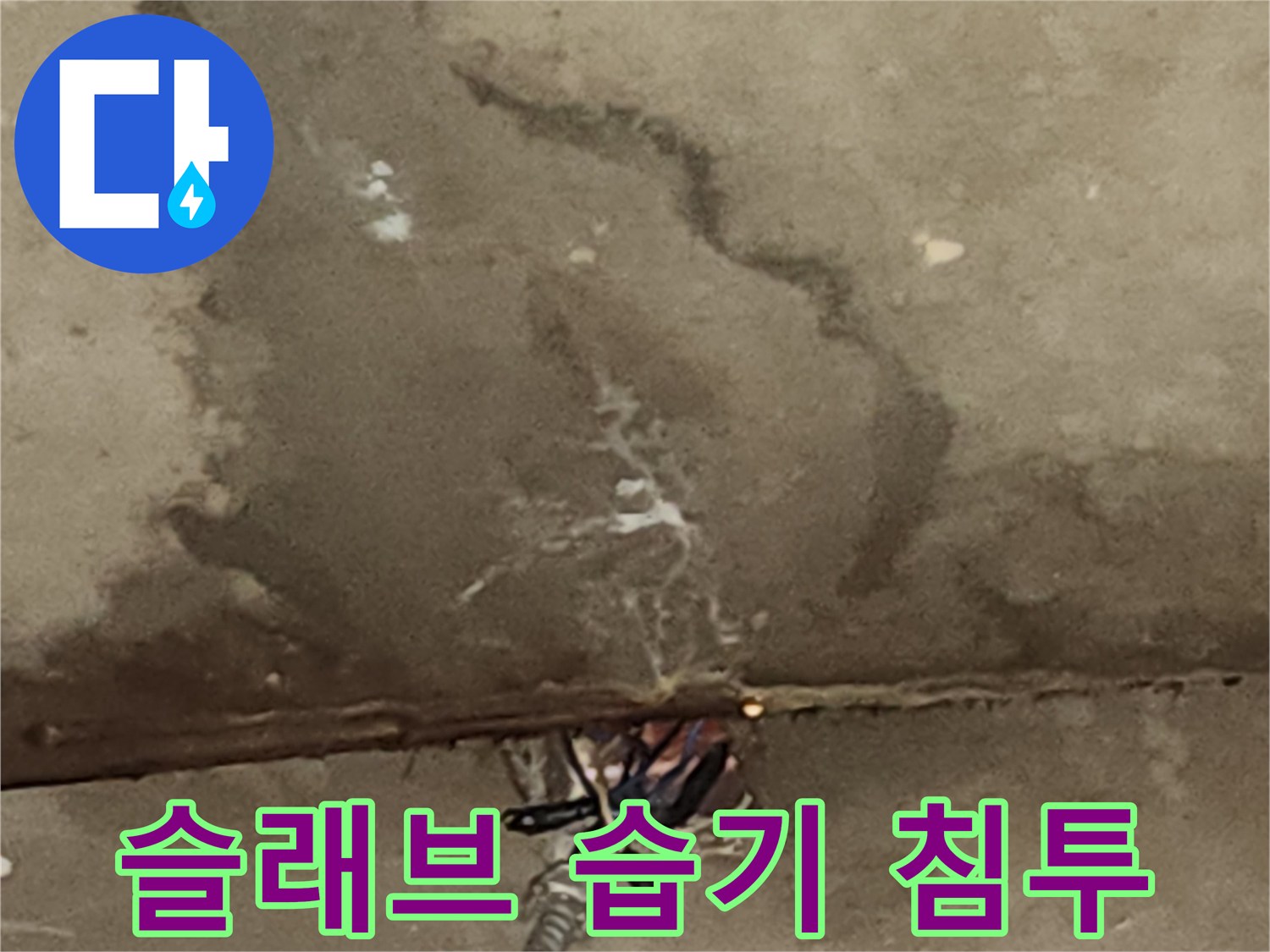 물길을 따라 형성된 젖은 콘크리트 패턴