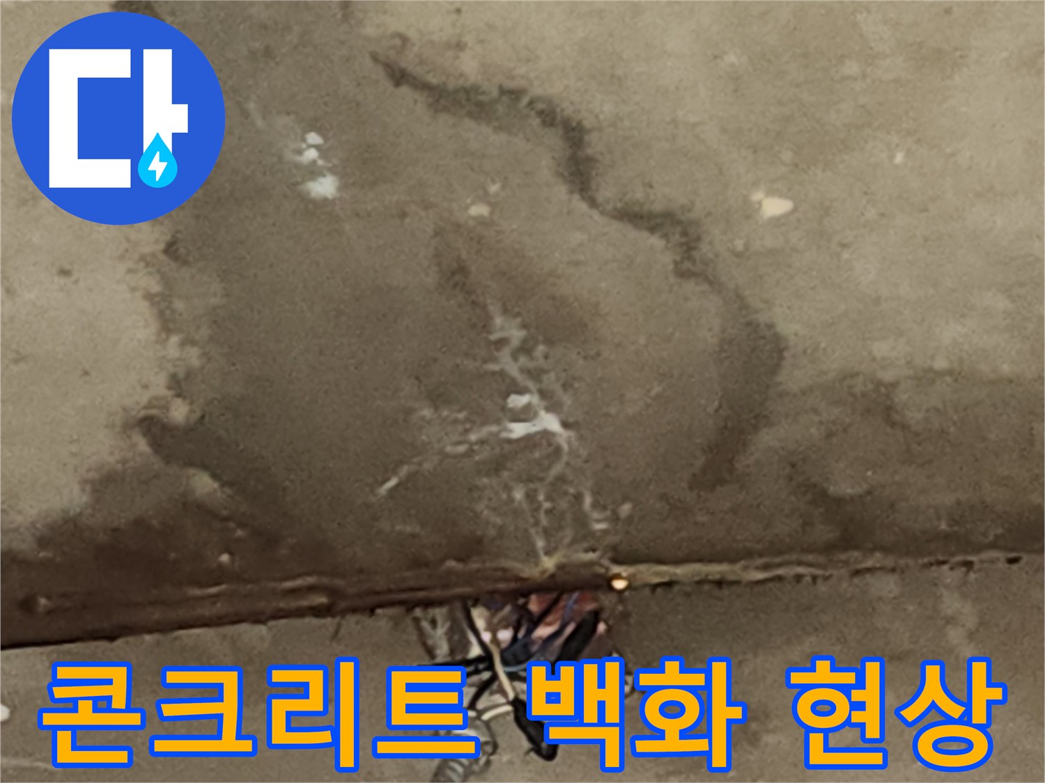 하얀 백화가 발생한 젖은 콘크리트 천장 면적