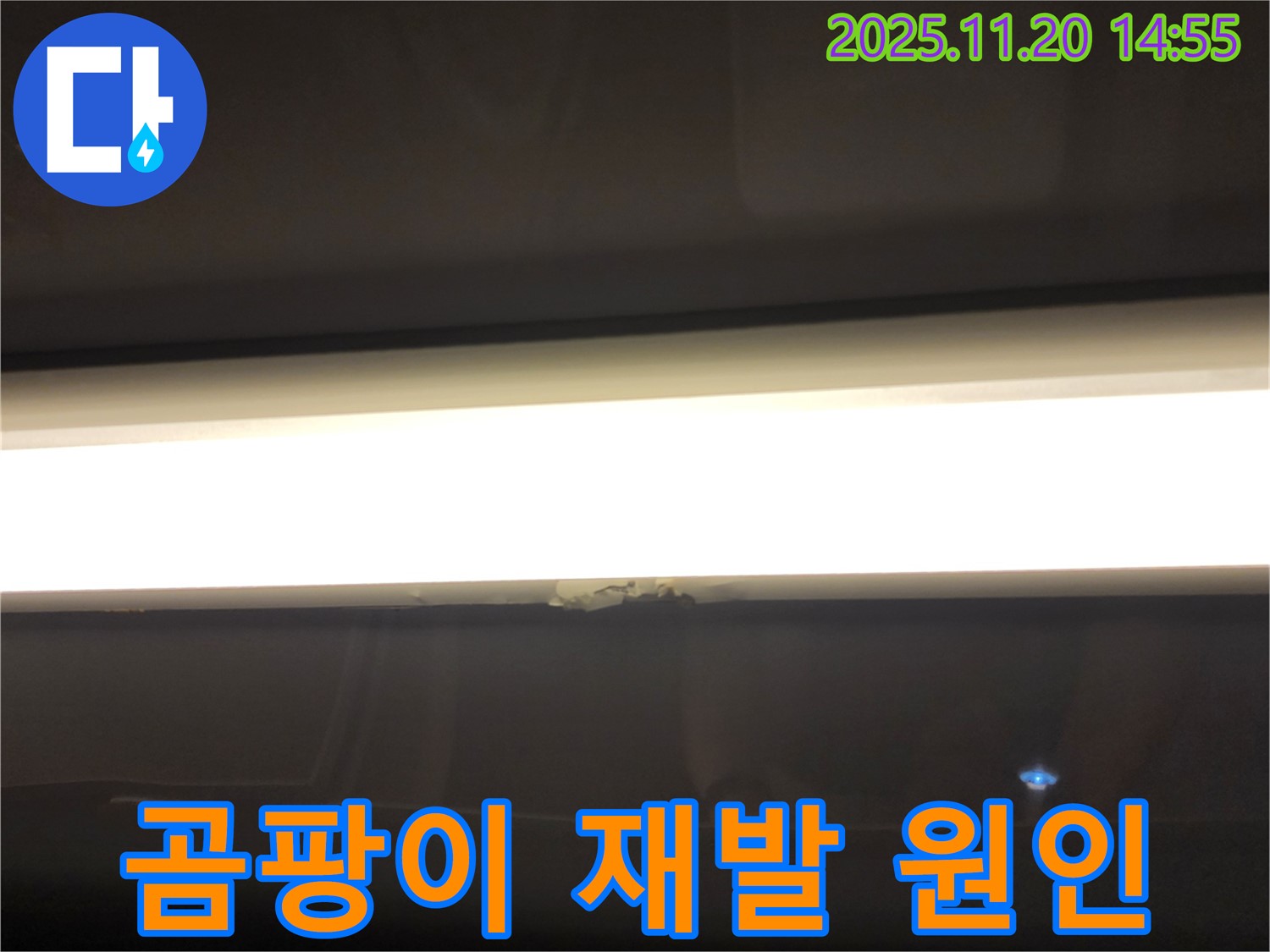 LED 조명 누수 - 공사 후 곰팡이 재발, 원인 재점검 필요