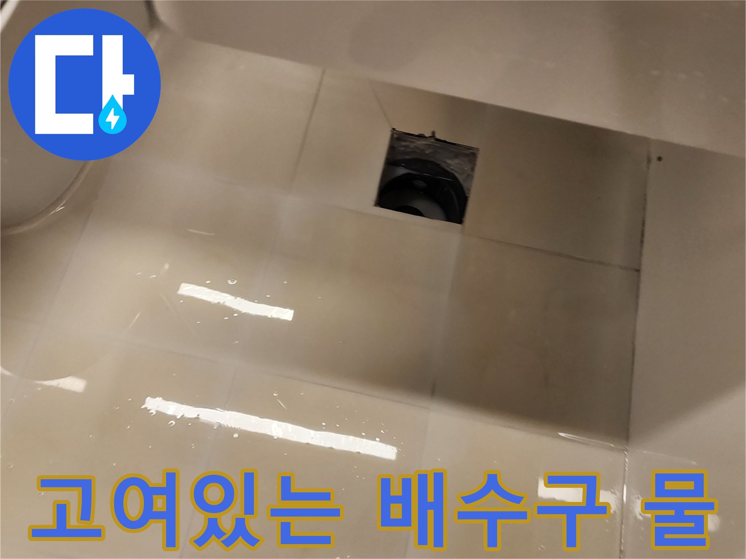 배수구 주변에 정체된 물-타일 사이 누수 유입 확인
