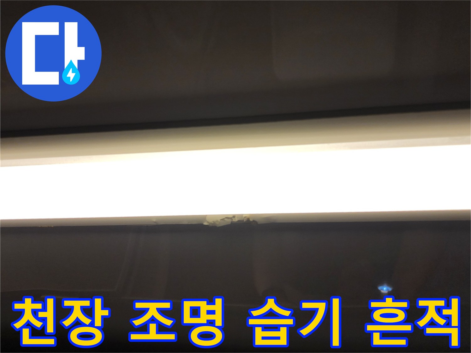 욕실 천장 등기구 주변의 누수 흔적-정밀 진단 수행 중
