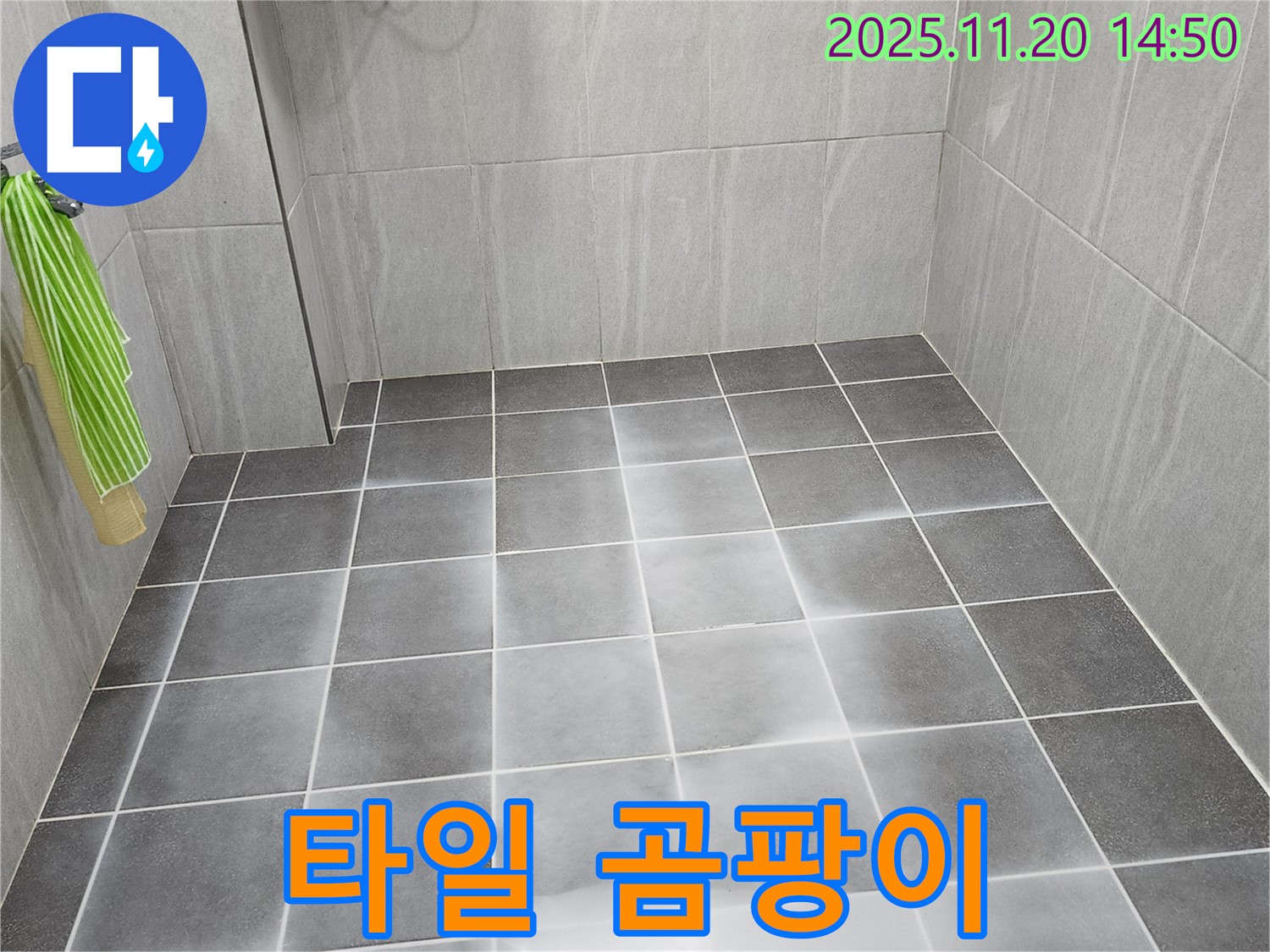 욕실 타일에 심하게 핀 곰팡이 - 곰팡이 제거와 누수 해결이 동시에 필요합니다.