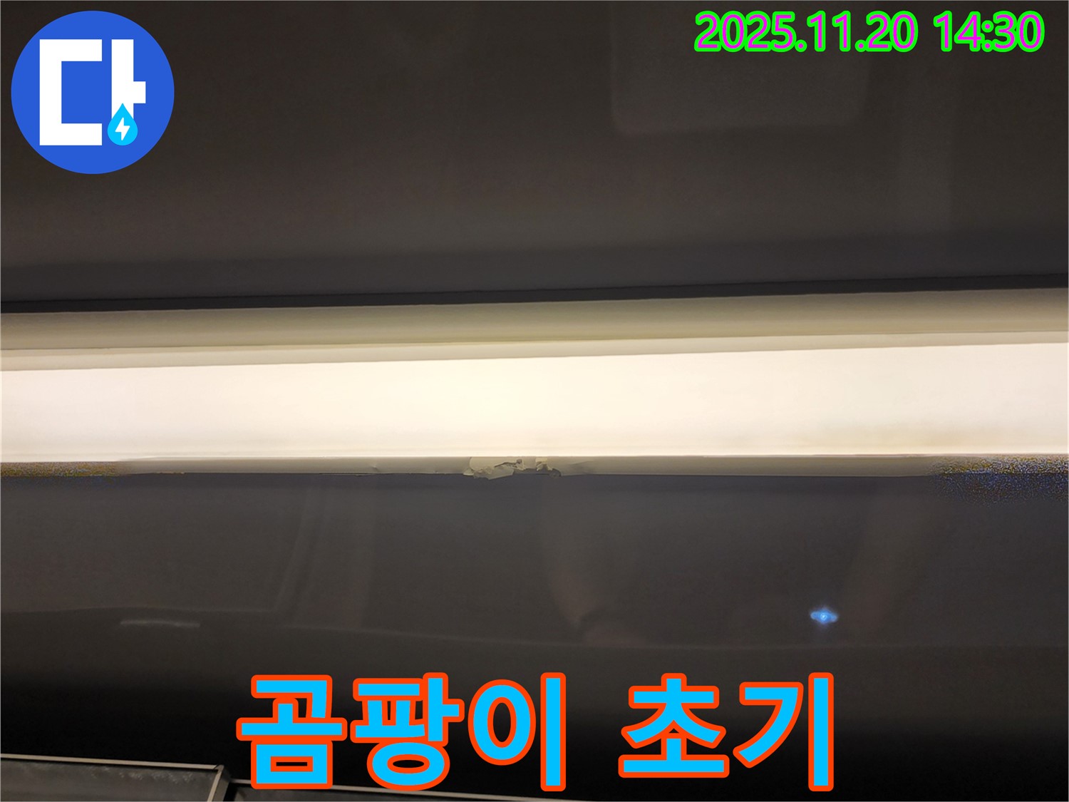 창문 윗부분 누수 - 곰팡이 초기 발견, 완벽 조치