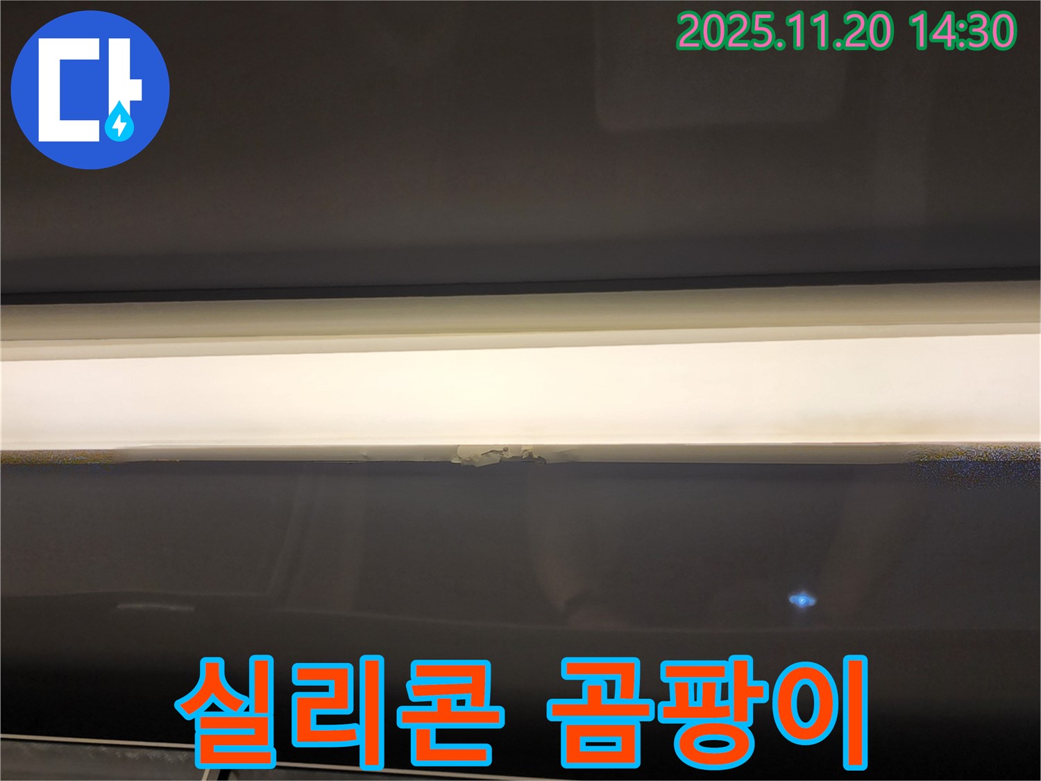 창틀 실리콘 곰팡이 - 누수 해결이 우선