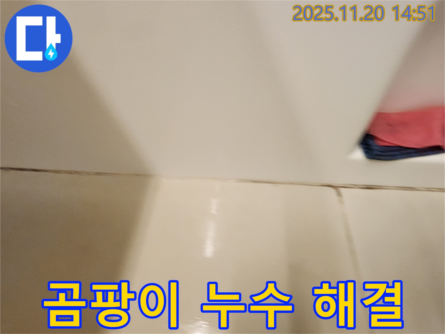 포천 가산면 곰팡이 핀 타일 틈새 누수 - 곰팡이 제거 후 완벽한 방수 시공으로 누수 걱정 없이!