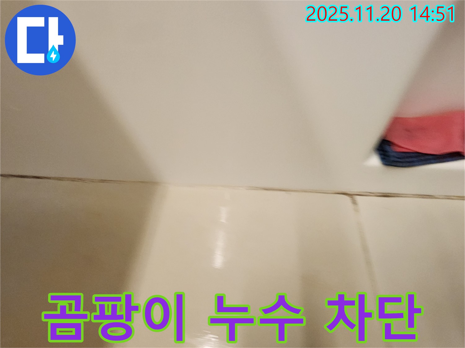 포천 가산면 마산리 곰팡이 핀 타일 틈새 누수 - 곰팡이 제거와 완벽 방수 시공으로 누수 원천 봉쇄!