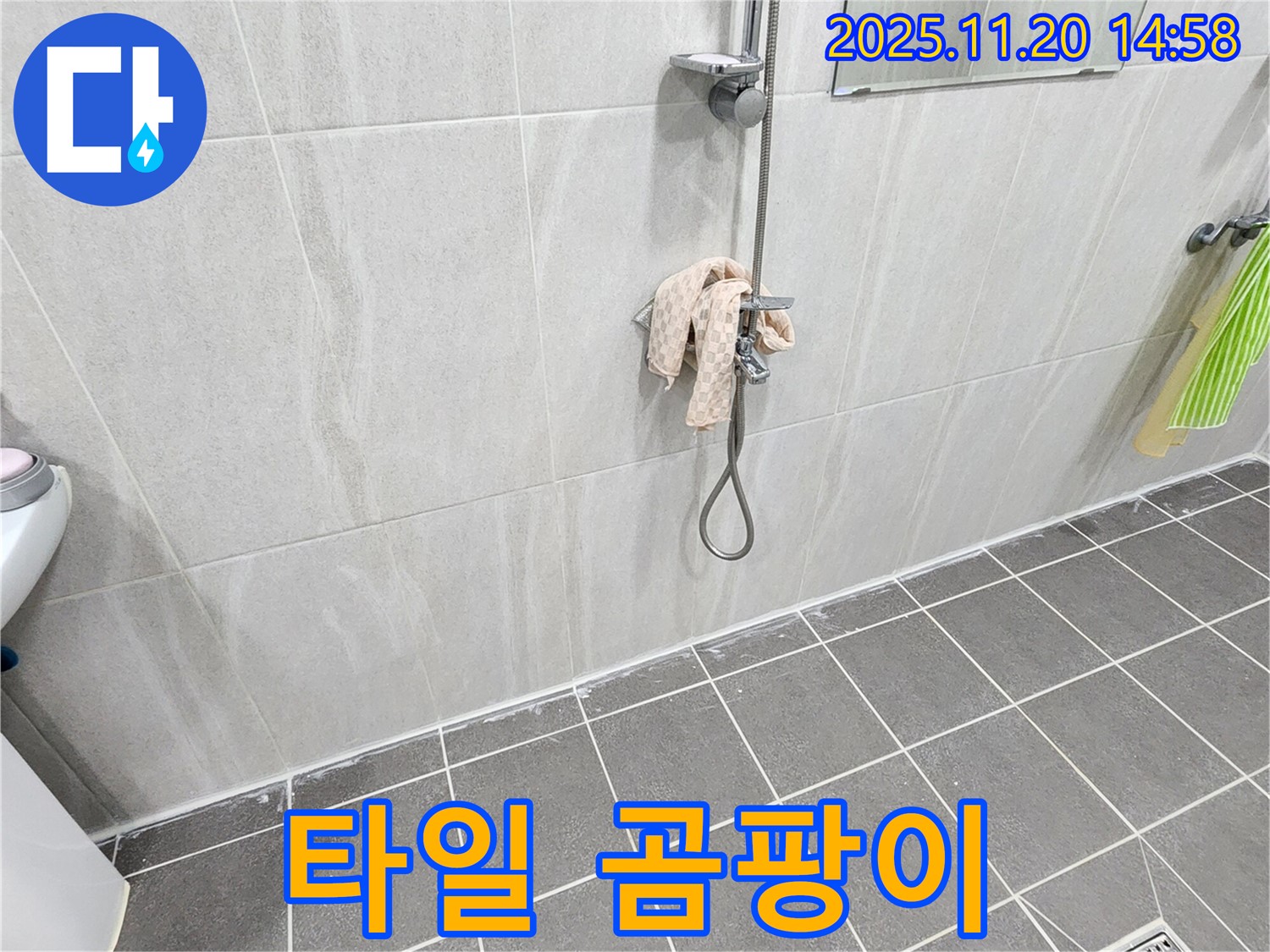 포천 가산면 샤워기 벽 타일 곰팡이 - 곰팡이 제거와 누수 원인 해결!