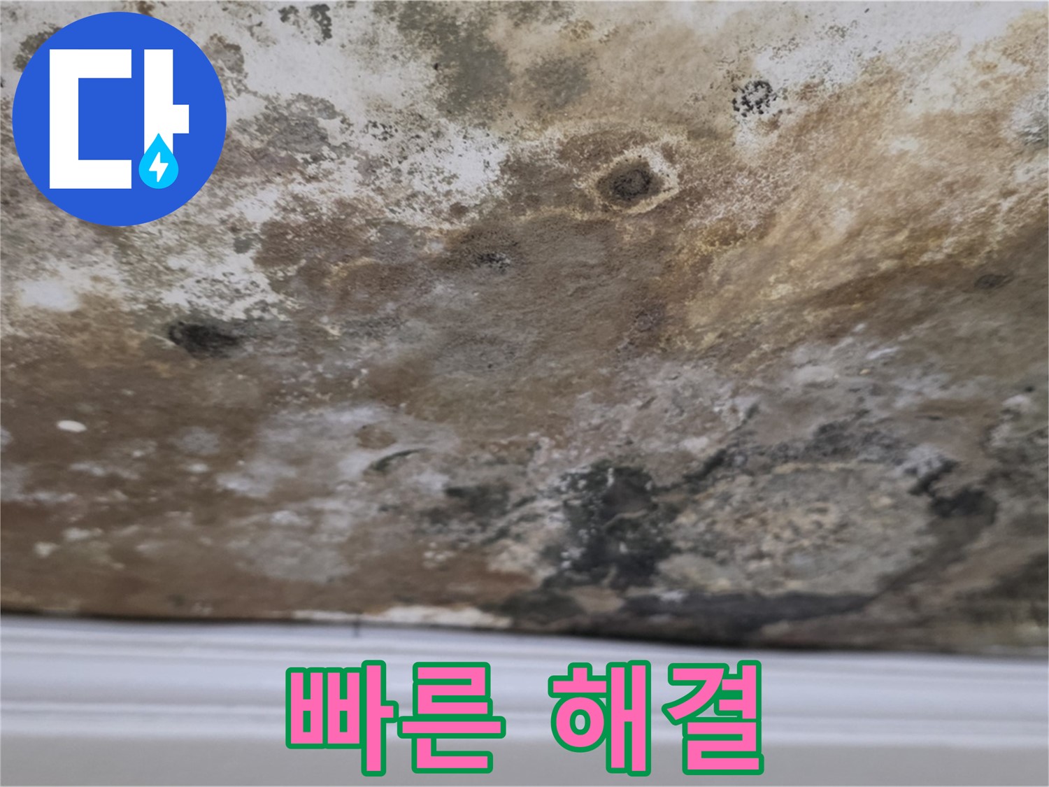 곰팡이 얼룩진 천장 빠른 해결 - 곰팡이로 얼룩진 천장을 신속하게 해결하는 모습입니다.