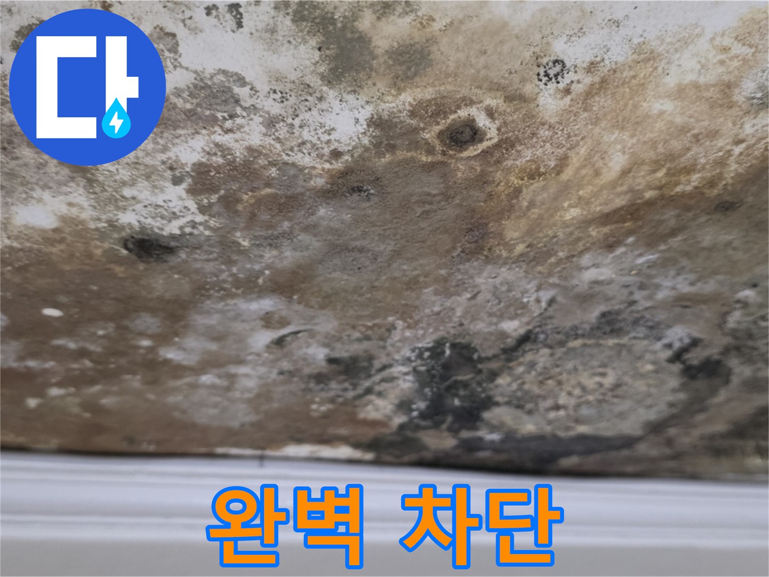 곰팡이 얼룩진 천장 - 완벽하게 차단합니다!