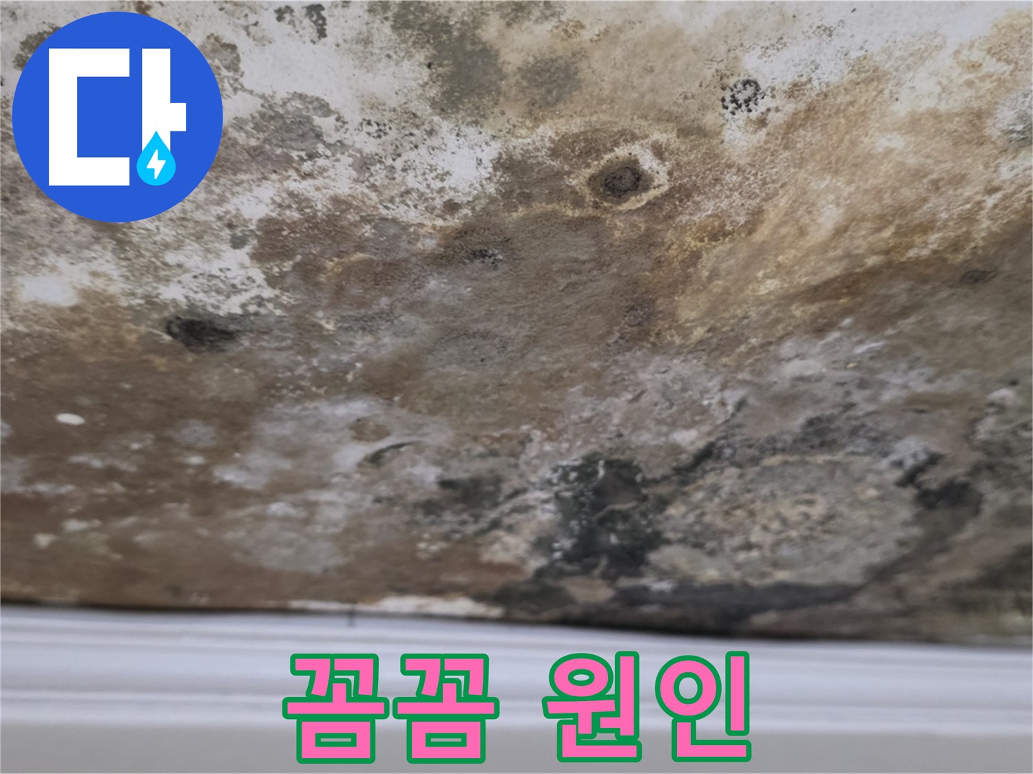 곰팡이 얼룩진 천장 - 원인부터 꼼꼼하게 진단