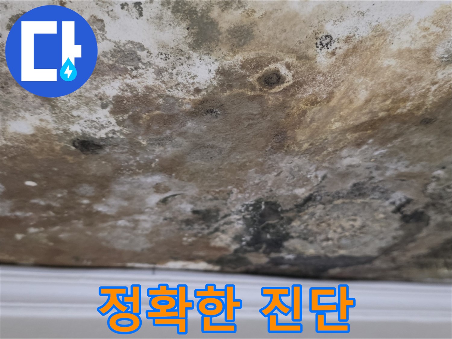 곰팡이 얼룩진 천장 - 정확한 진단이 우선