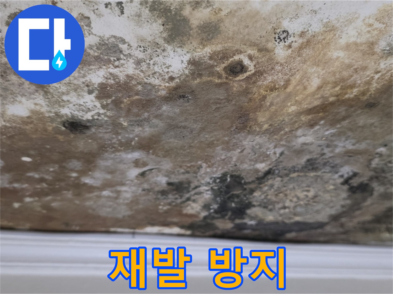 곰팡이 제거 후 - 완벽한 재발 방지 시공!