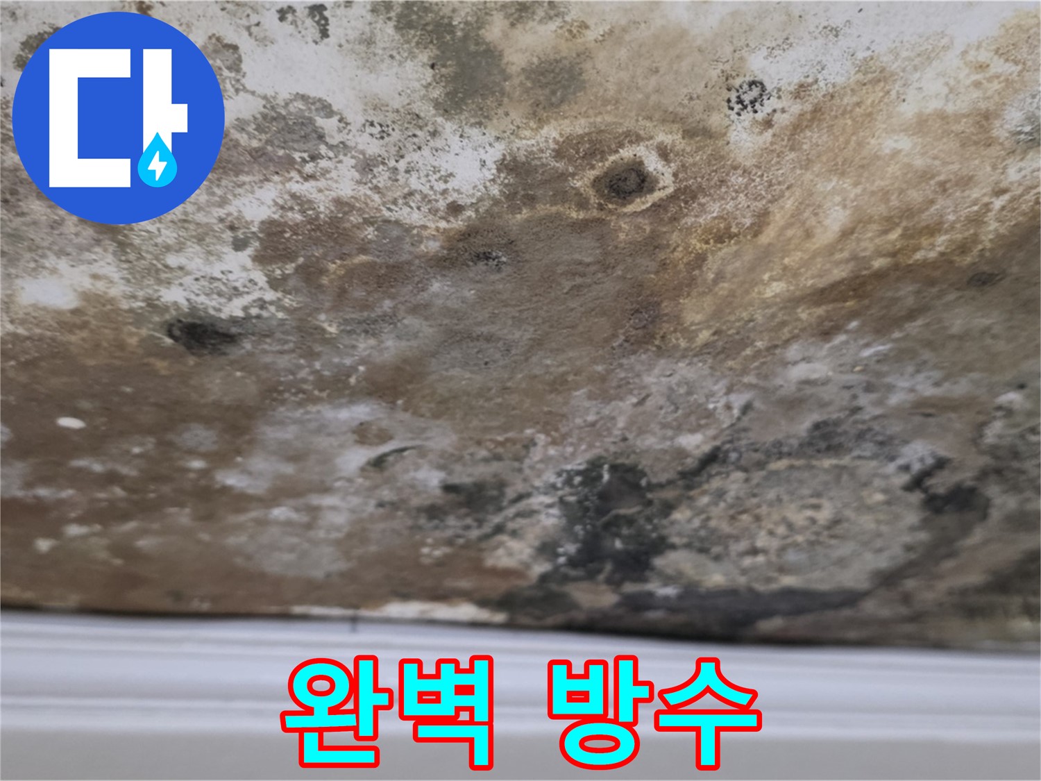 곰팡이 천장 - 완벽 방수 시공으로 재발을 방지합니다