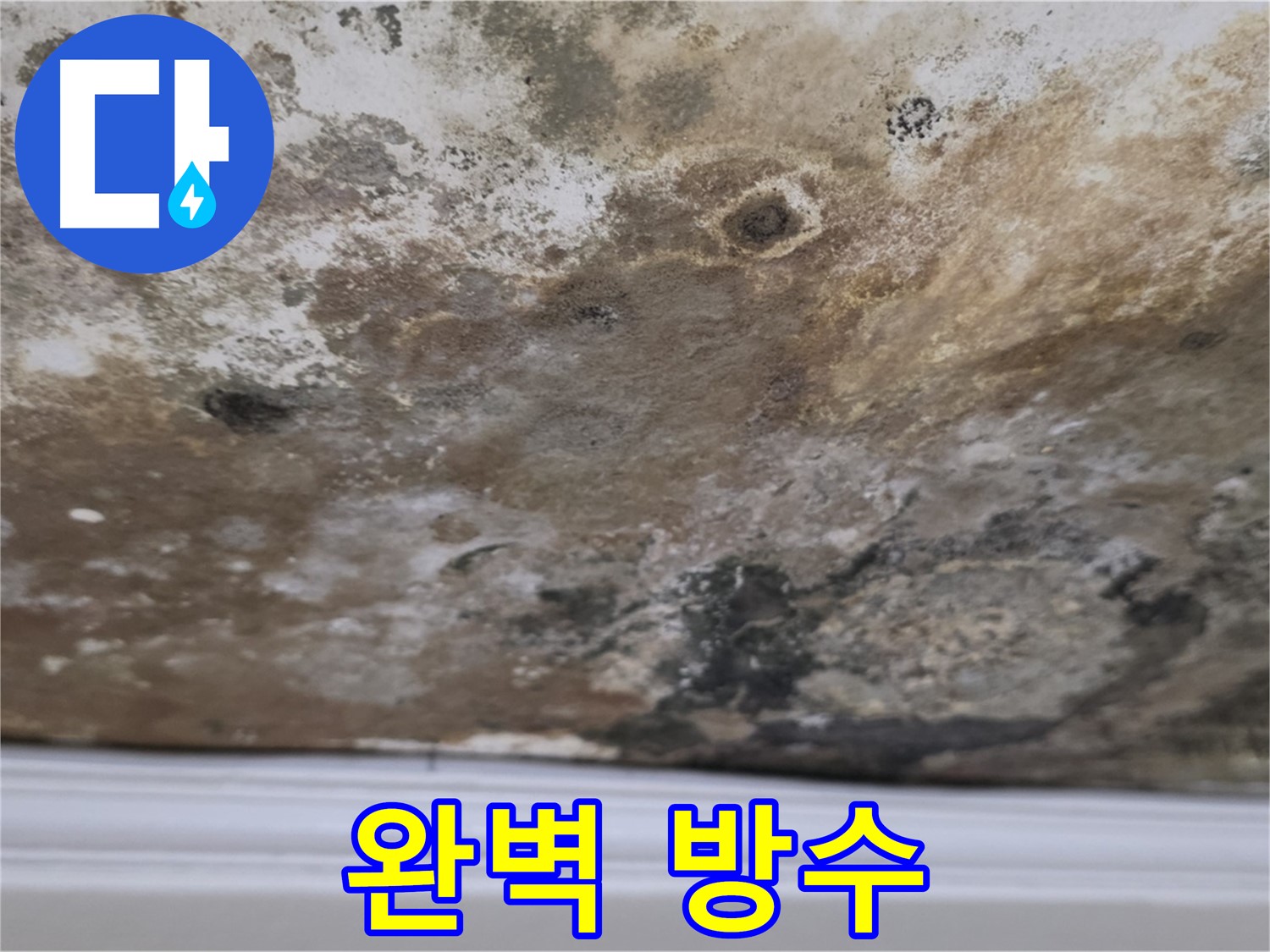 곰팡이 천장 - 완벽 방수 시공으로 재발을 방지합니다!