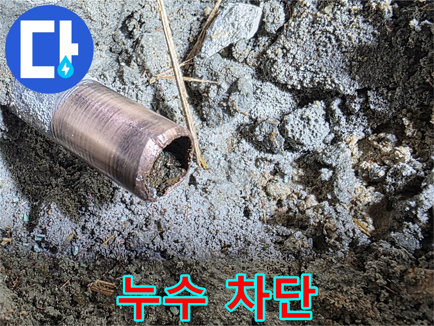 마포구 용강동 새창로8길 주택 누수 - 합리적인 견적으로 누수 문제를 해결해 드립니다.
