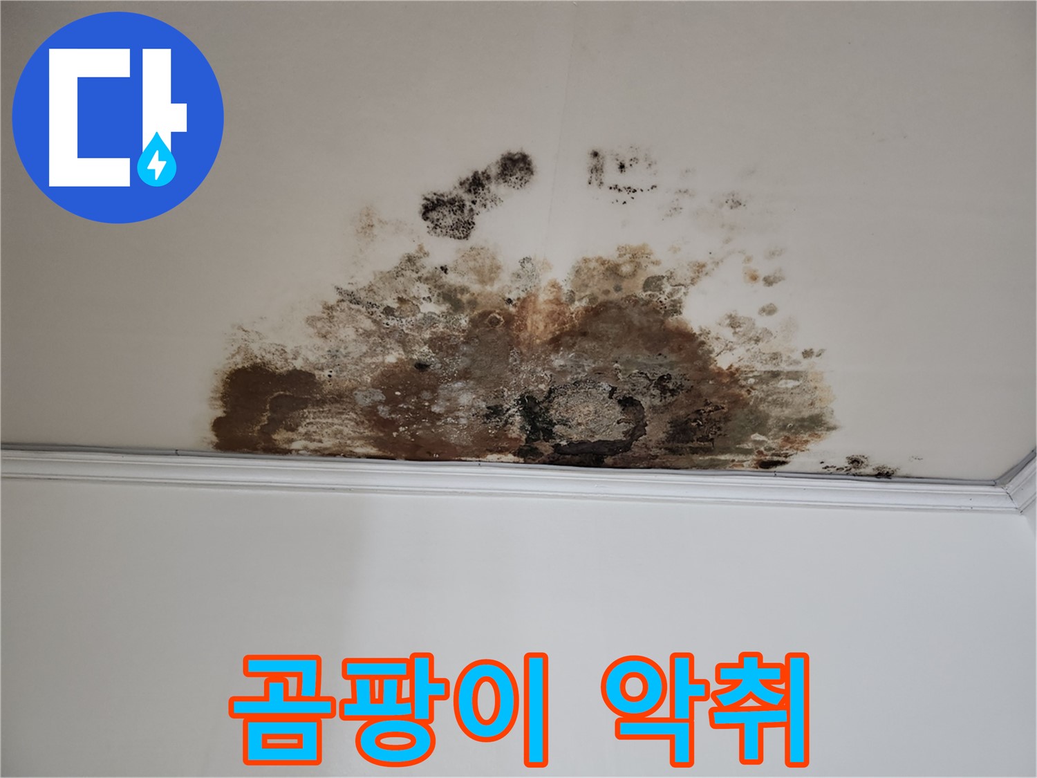 마포 누수 - 곰팡이 악취 제거