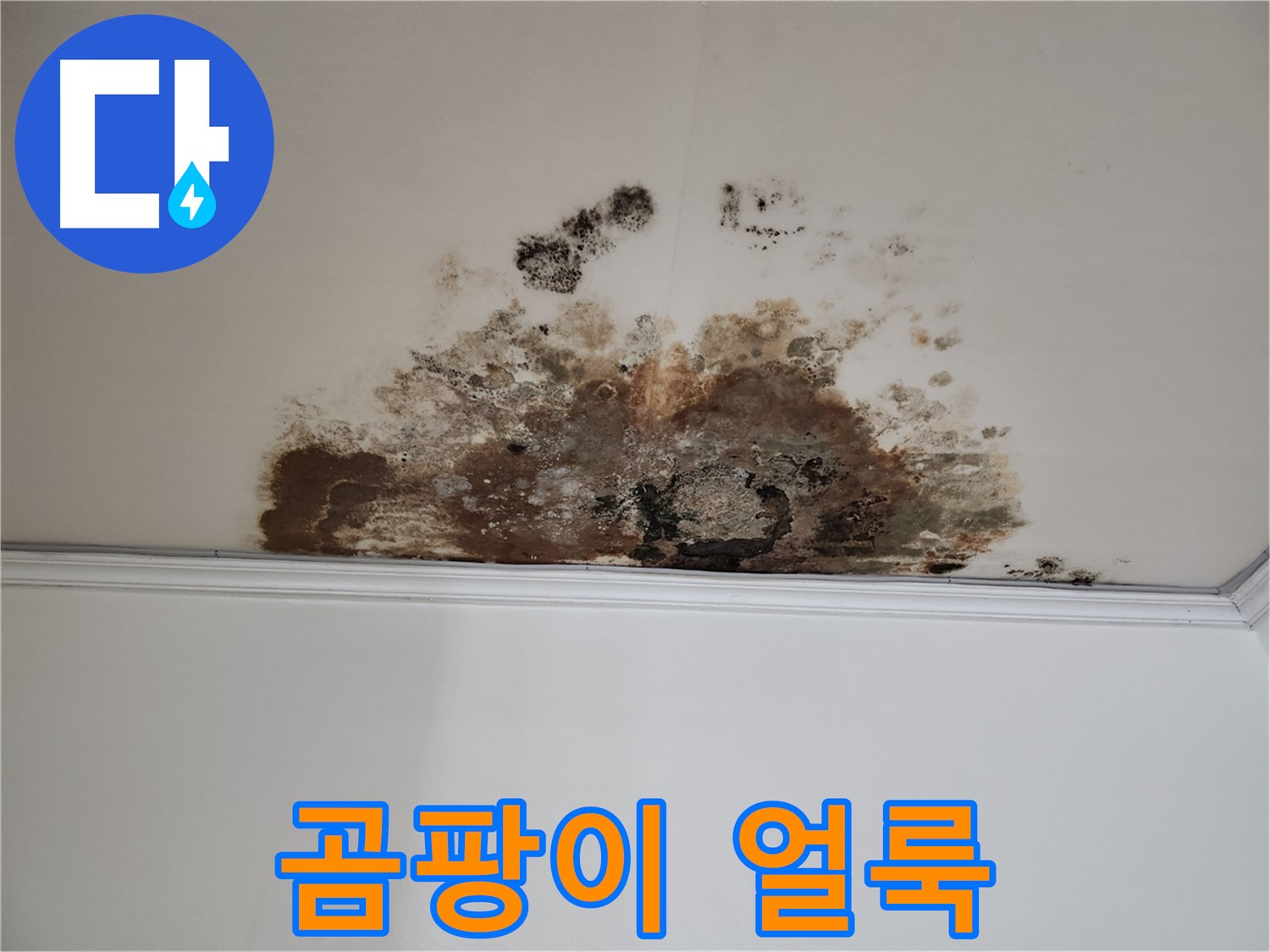 마포구 누수 - 곰팡이 얼룩진 천장