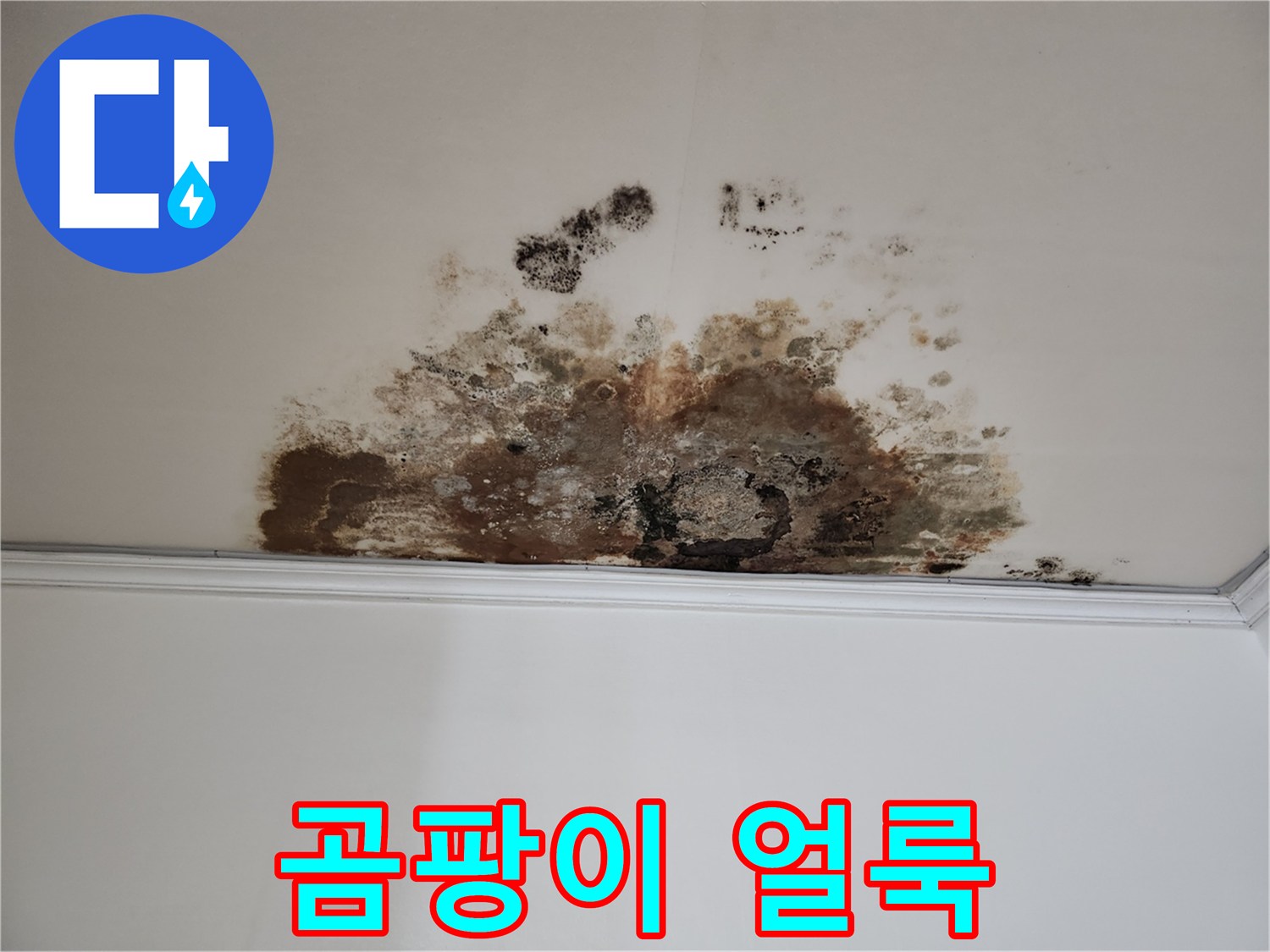 마포구 누수 - 곰팡이 얼룩진 천장