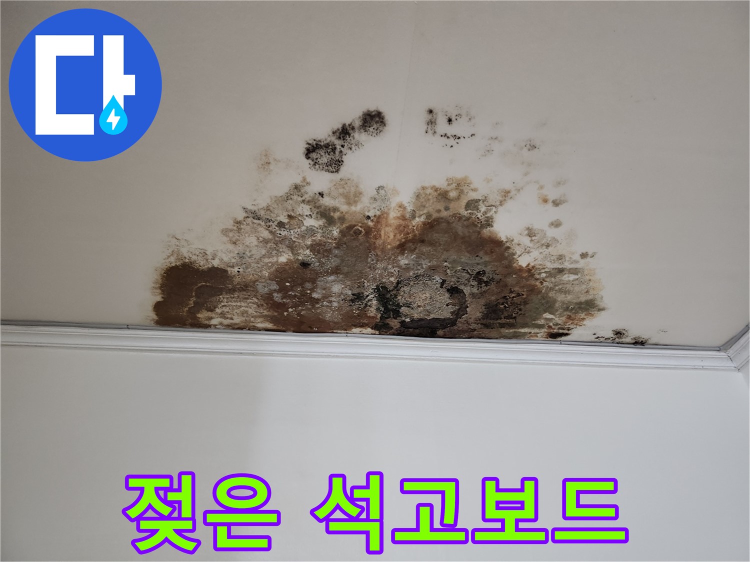 마포구 누수 - 곰팡이, 젖은 석고보드