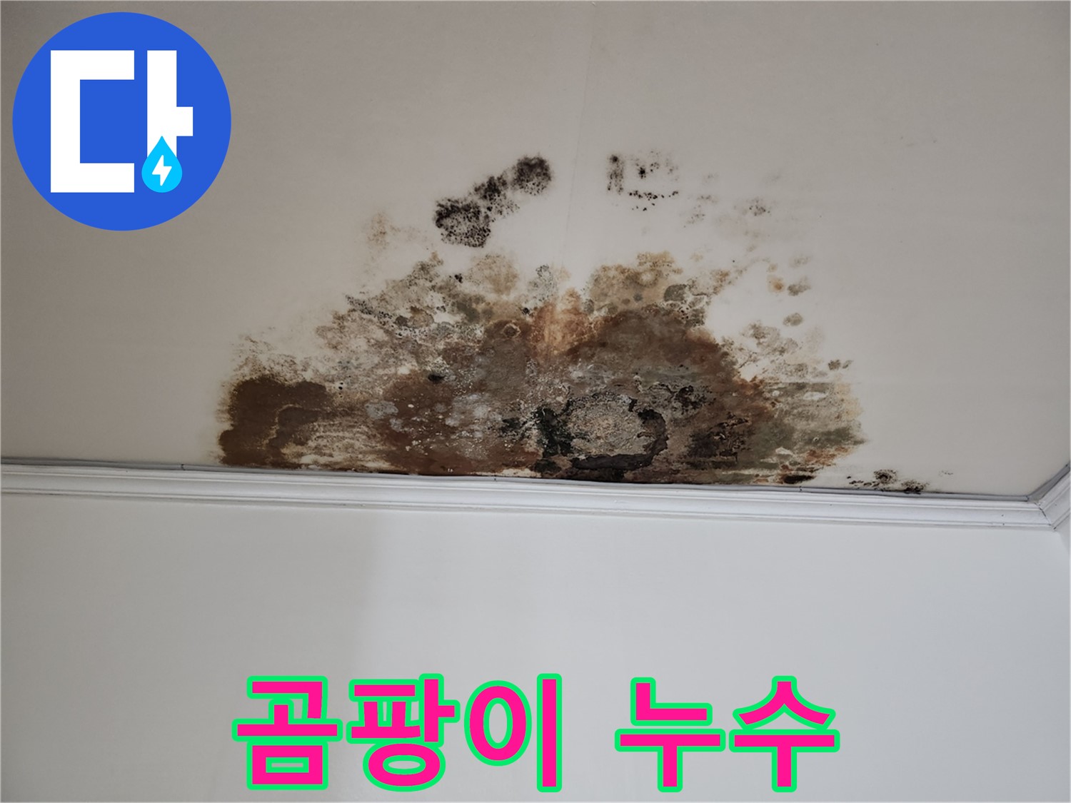 마포구 누수 - 곰팡이와 누수의 흔적