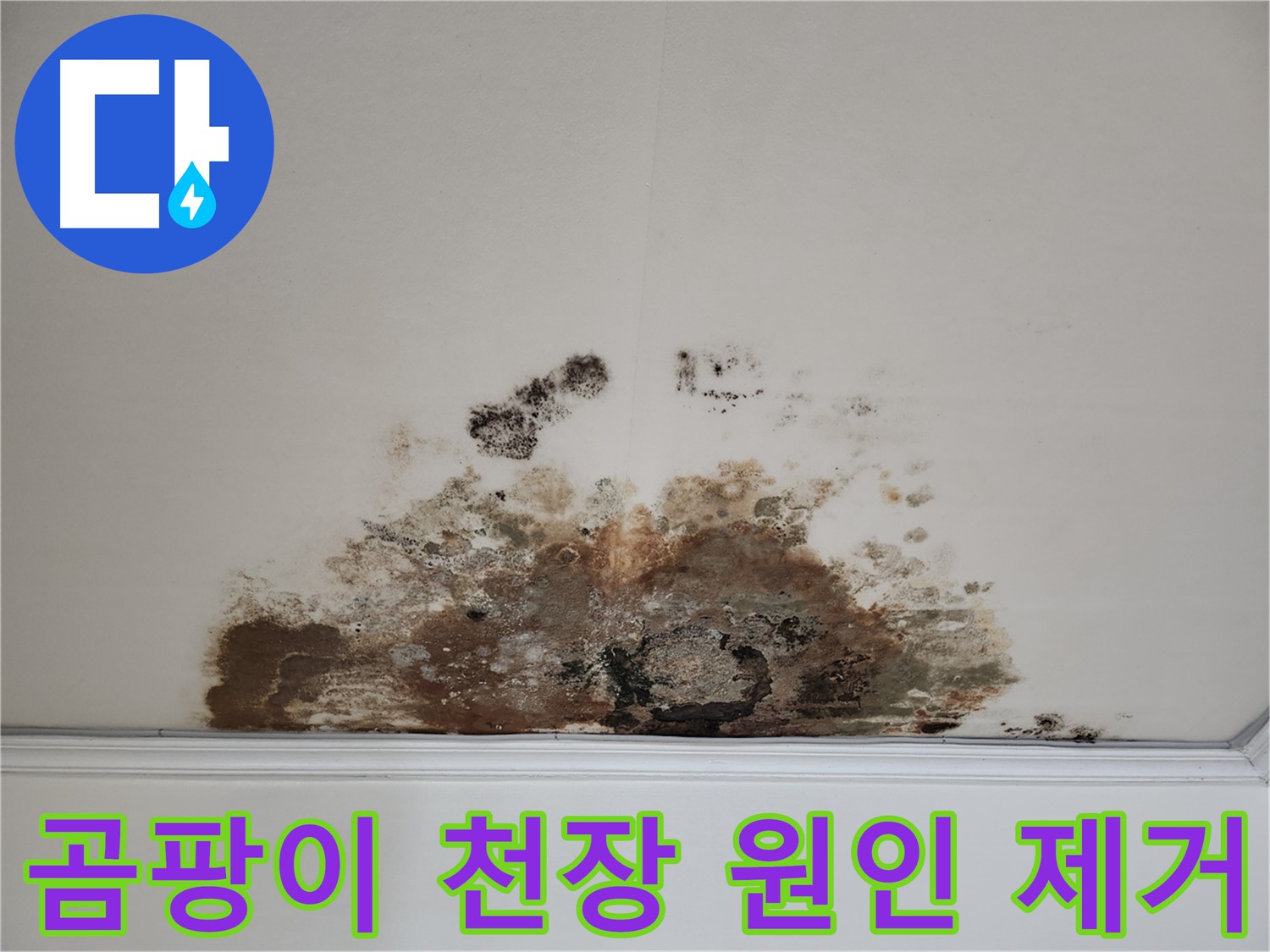 마포구 누수 공사 - 곰팡이 핀 천장의 확실한 원인 제거 과정